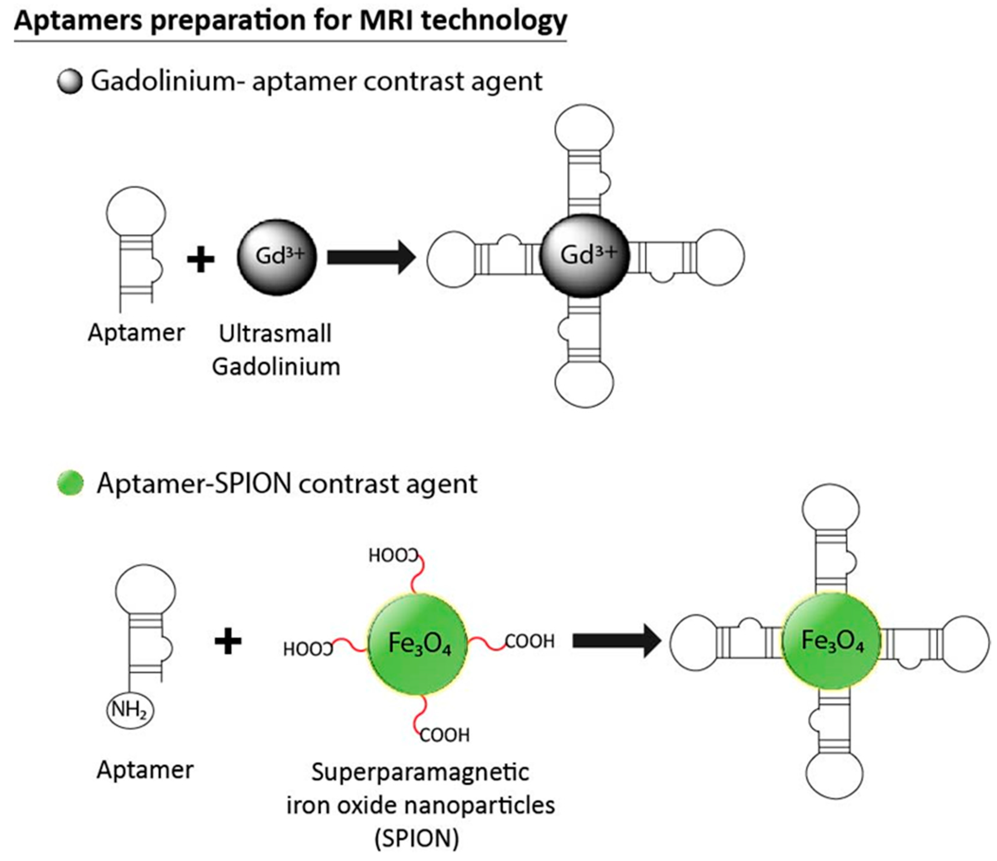Pharmaceuticals 11 00086 g008