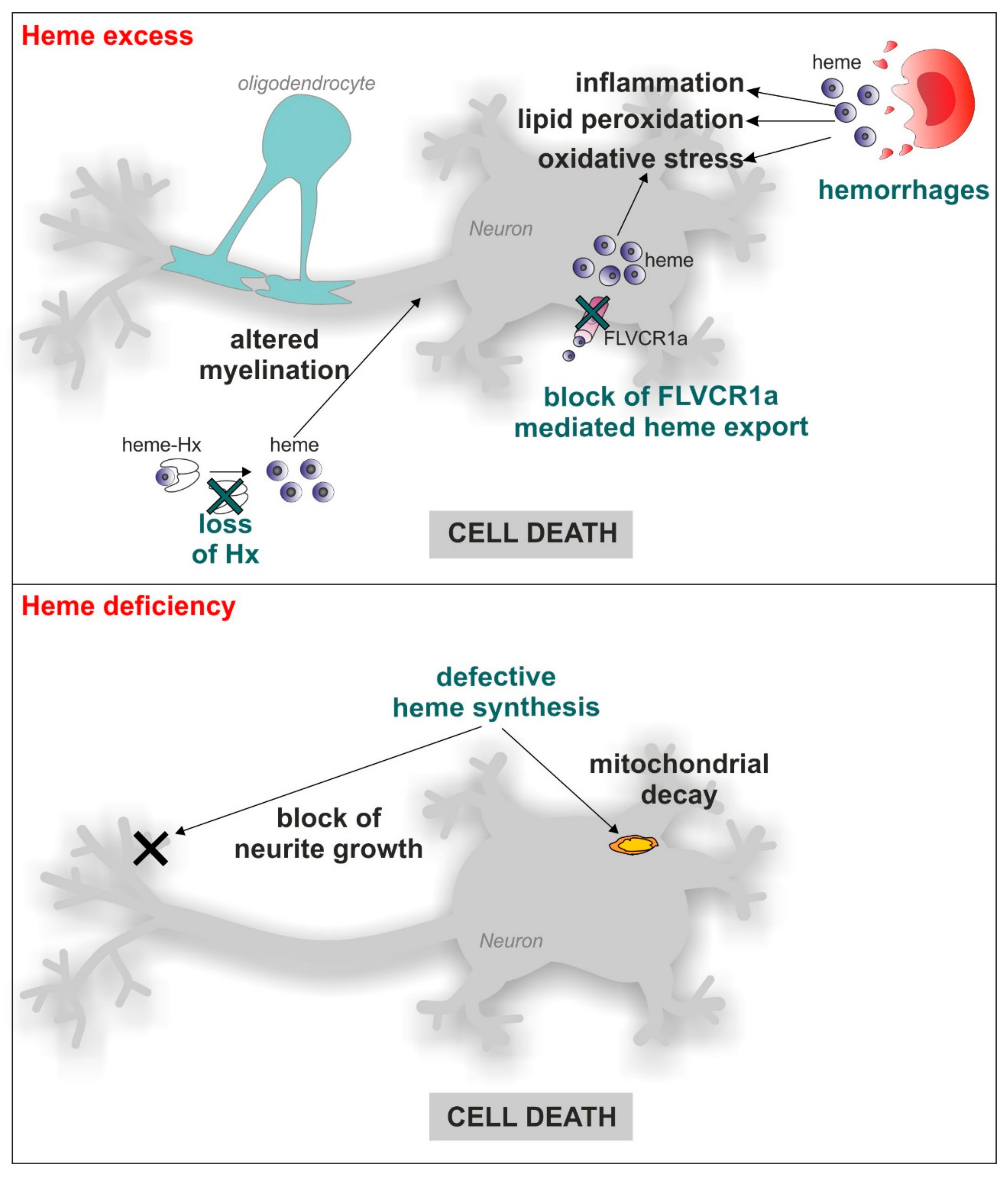 Pharmaceuticals 11 00087 g001 Pharmaceuticals 11 00087 g001