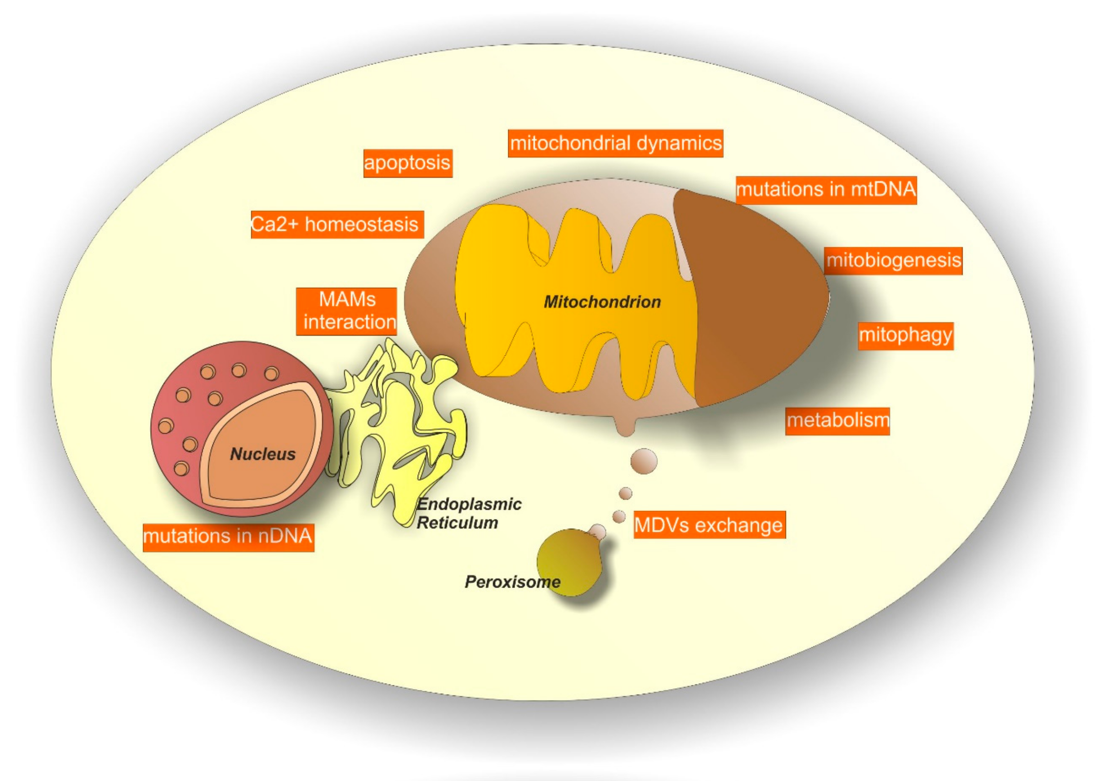 Pharmaceuticals 11 00087 g002 Pharmaceuticals 11 00087 g002