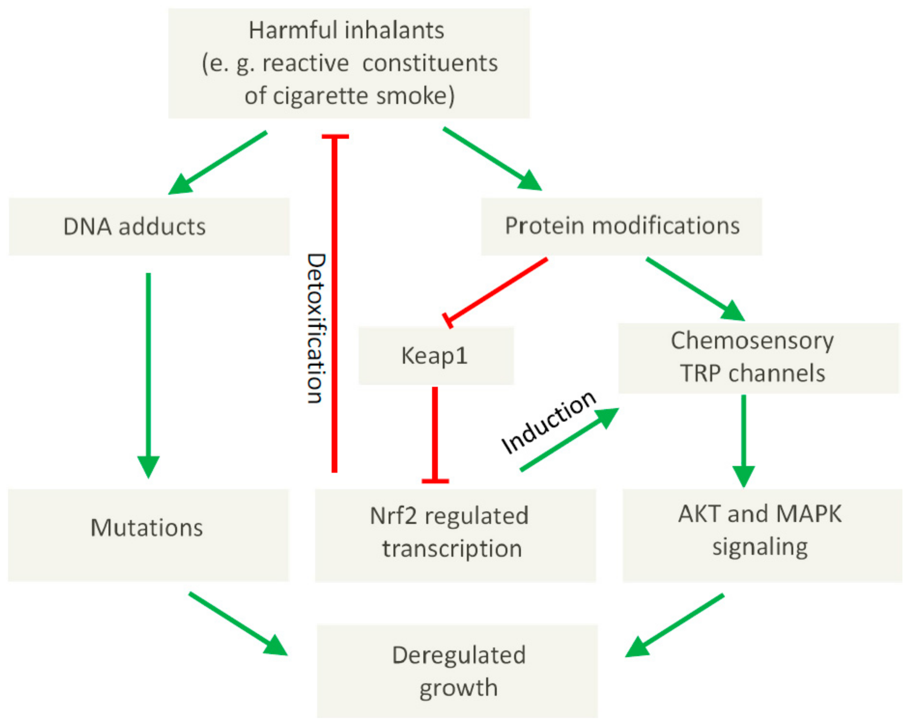 Pharmaceuticals 11 00090 g001