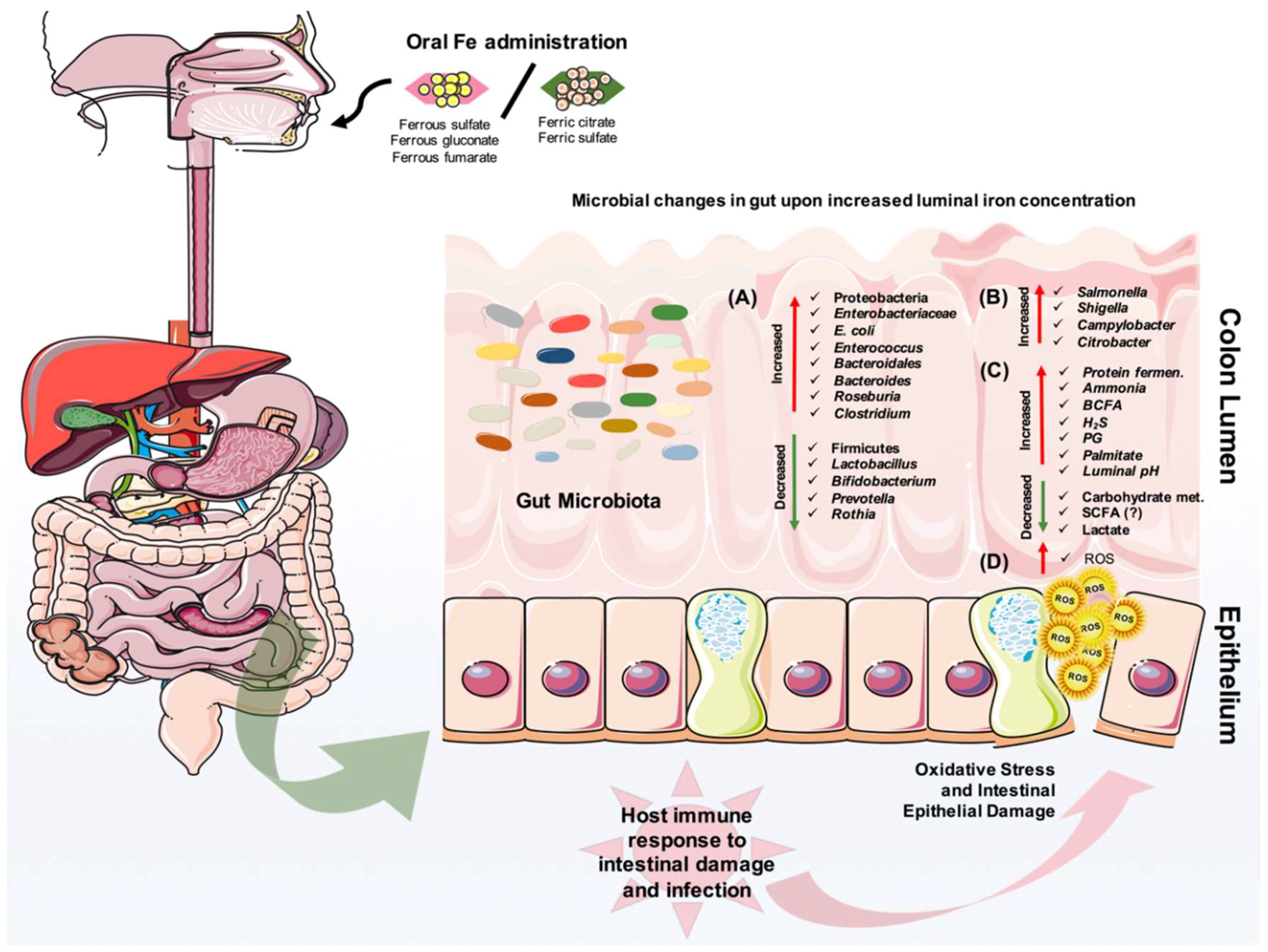 Pharmaceuticals 11 00098 g003