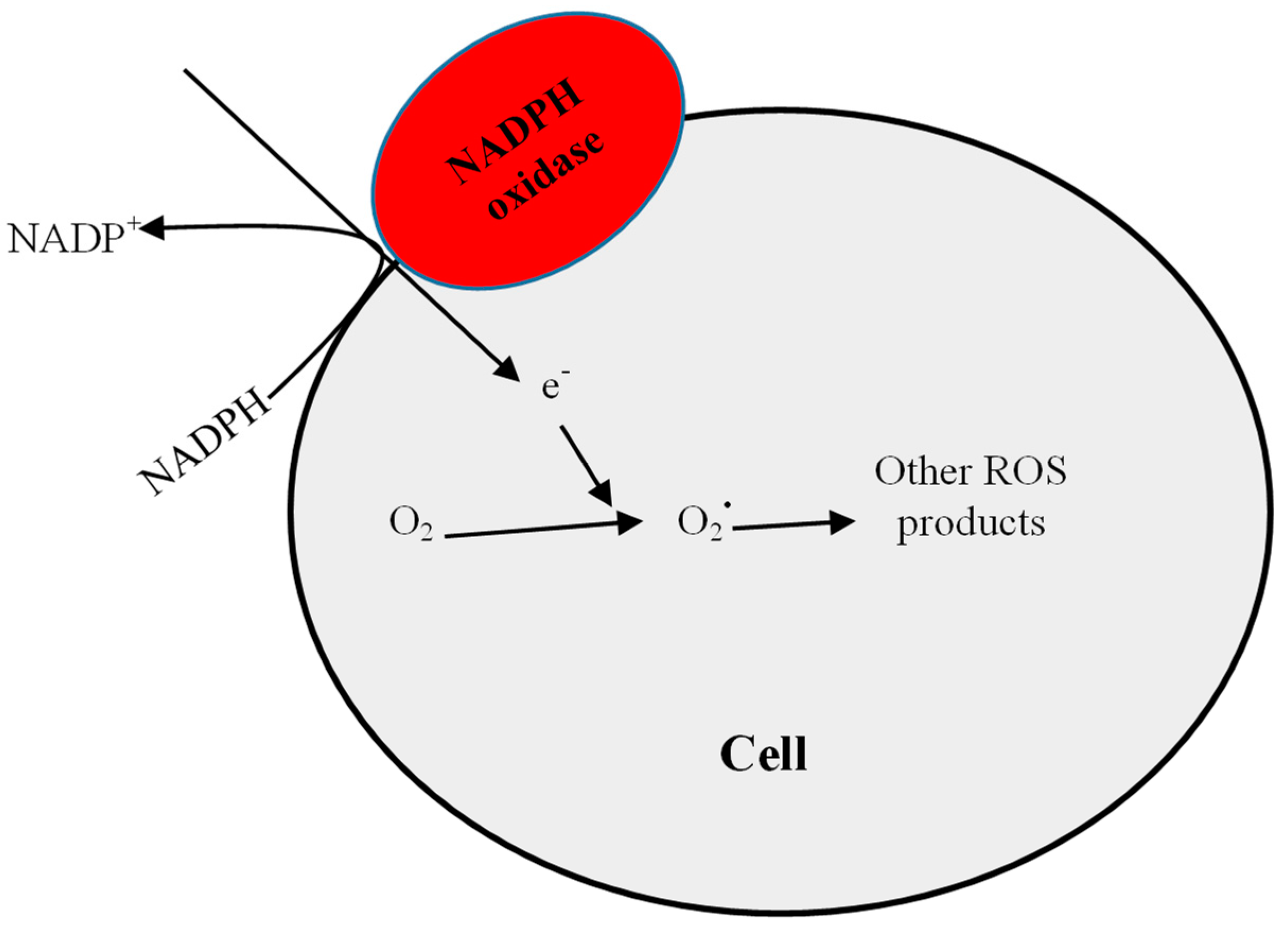 Pharmaceuticals 11 00103 g002 Pharmaceuticals 11 00103 g002