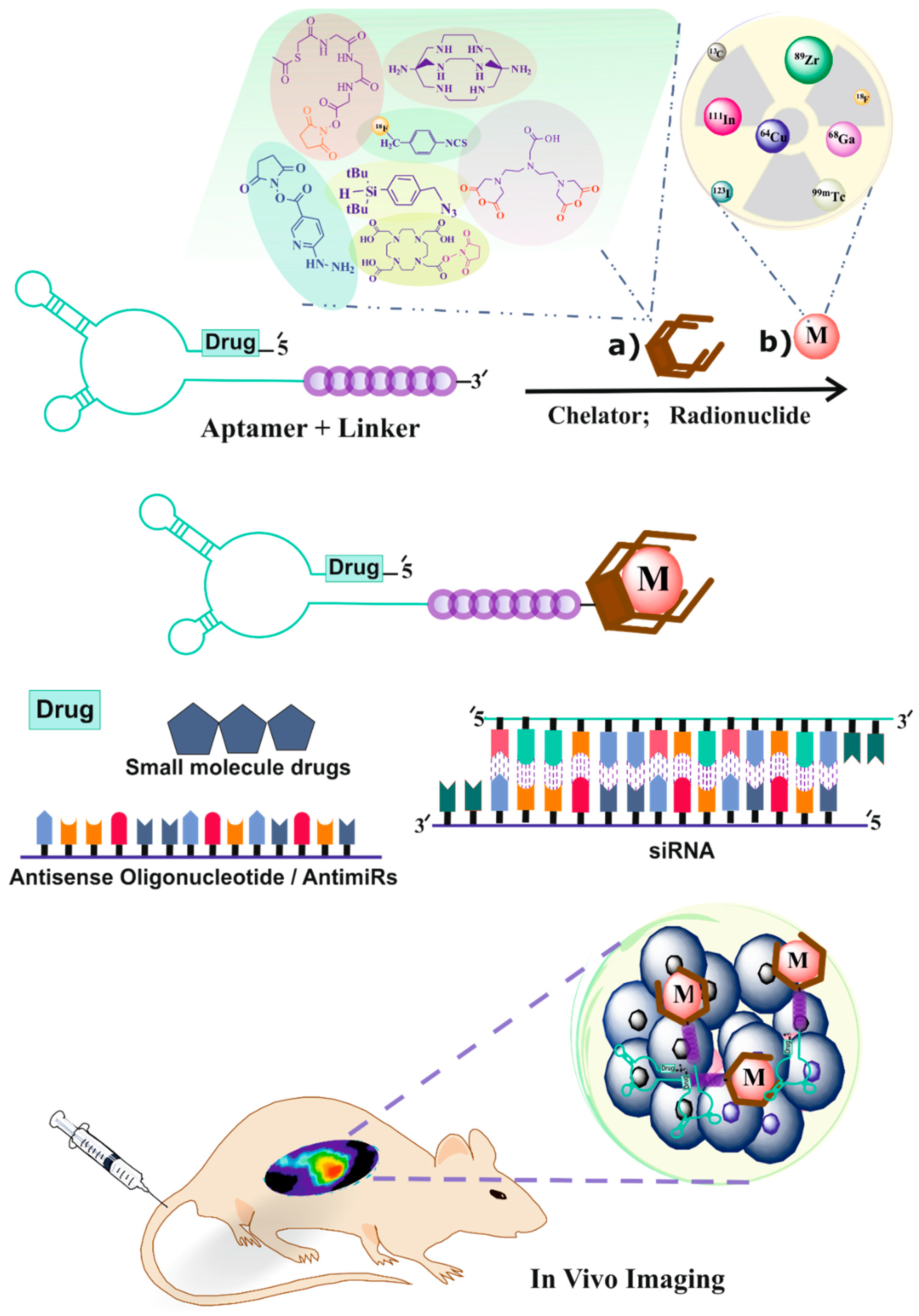 Pharmaceuticals 11 00106 g001 Pharmaceuticals 11 00106 g001