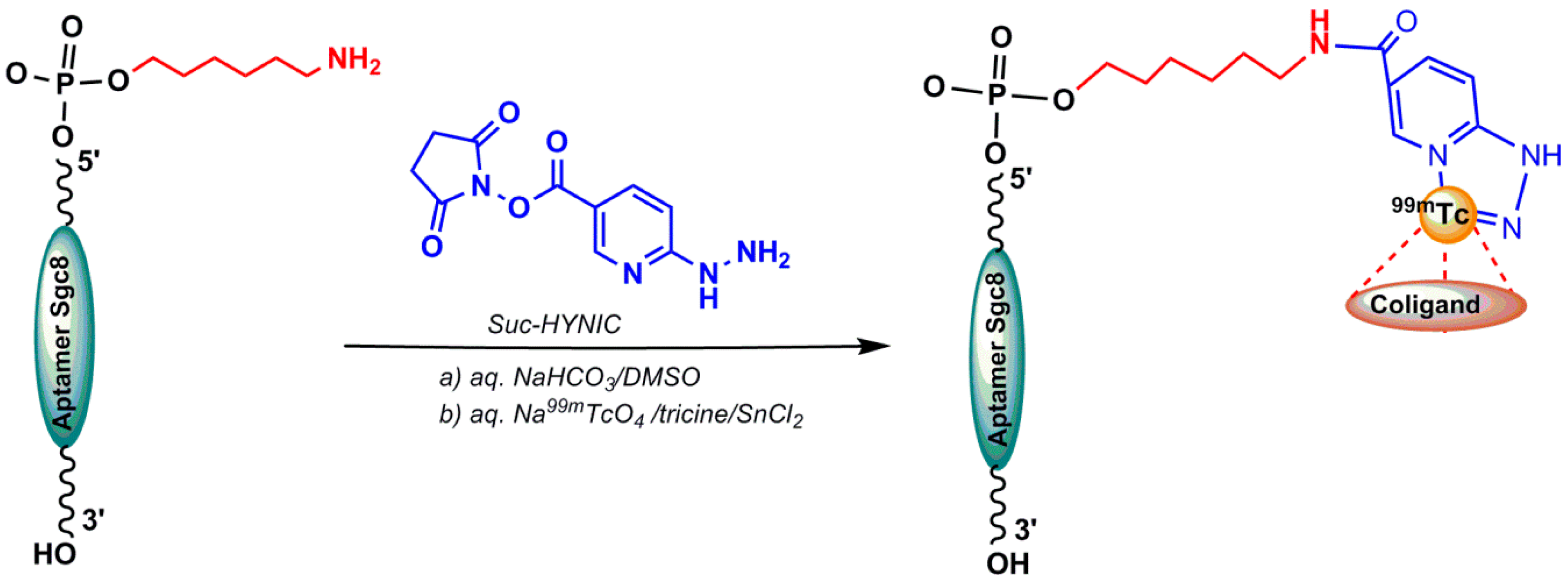 Pharmaceuticals 11 00106 g006 Pharmaceuticals 11 00106 g006