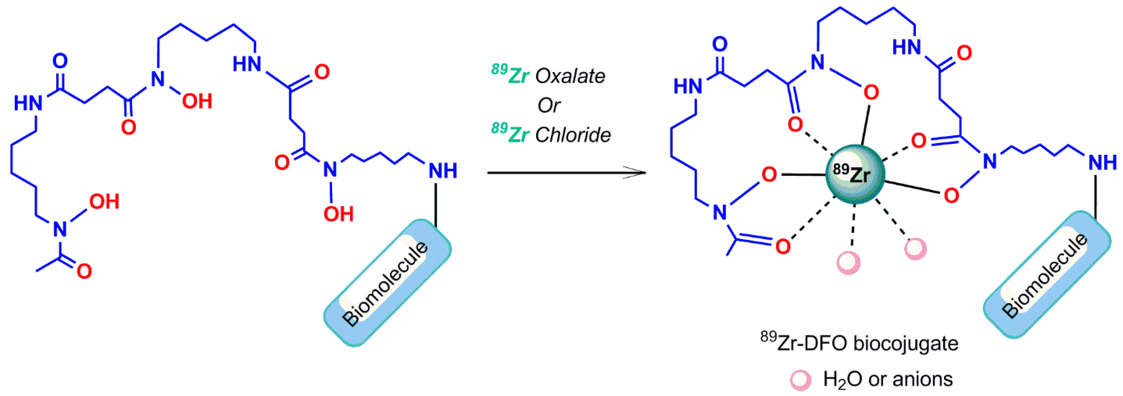 Pharmaceuticals 11 00106 g017 Pharmaceuticals 11 00106 g017