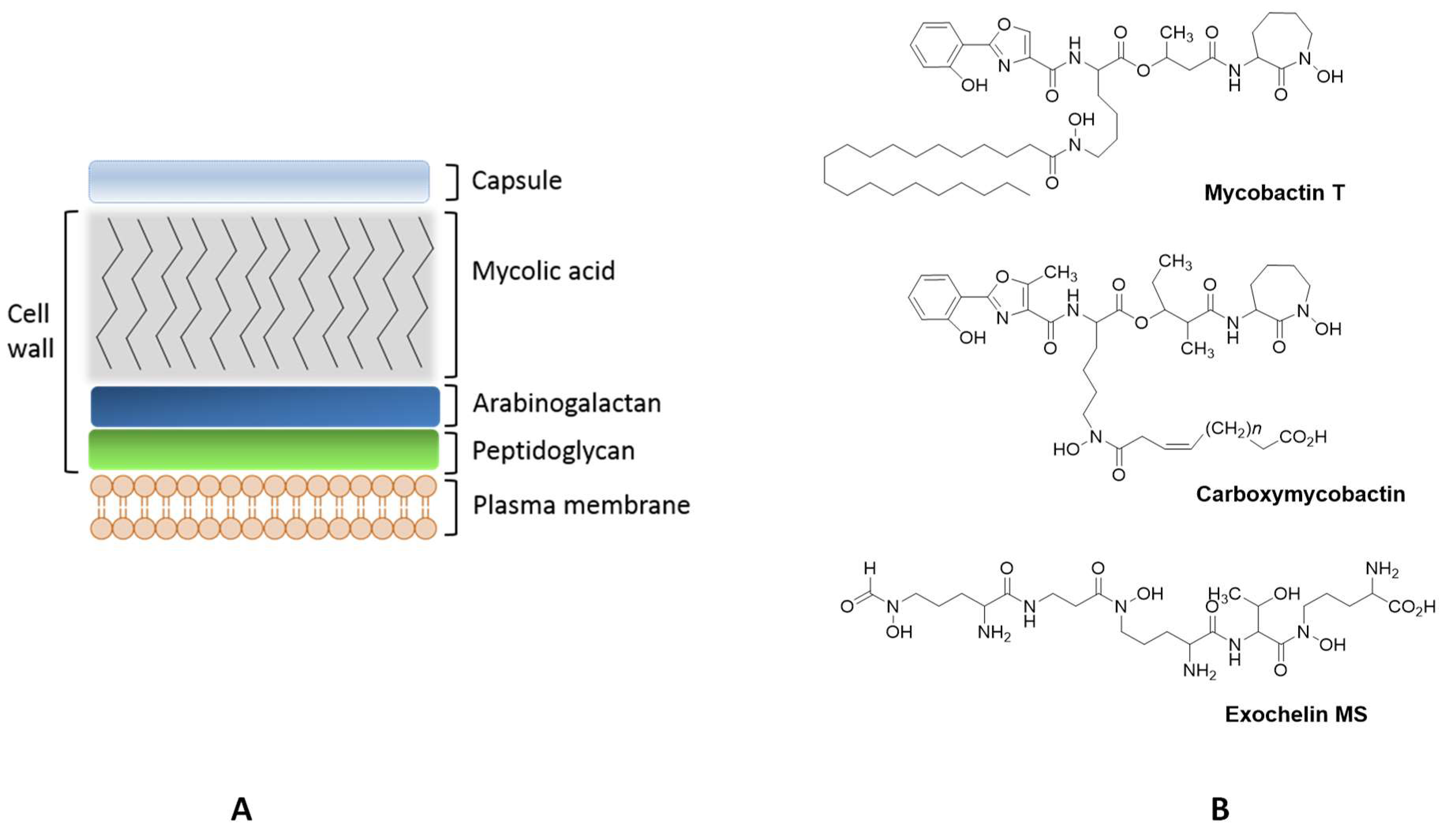 Pharmaceuticals 11 00110 g002