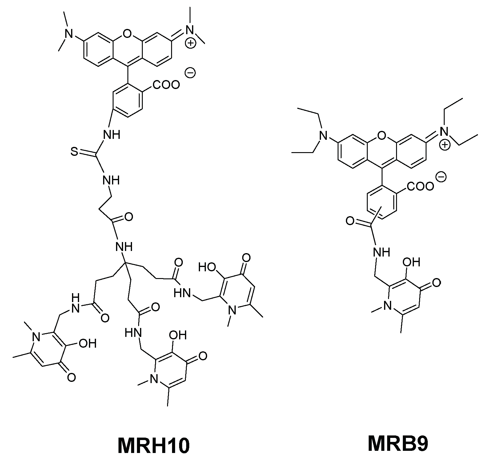 Pharmaceuticals 11 00110 g006