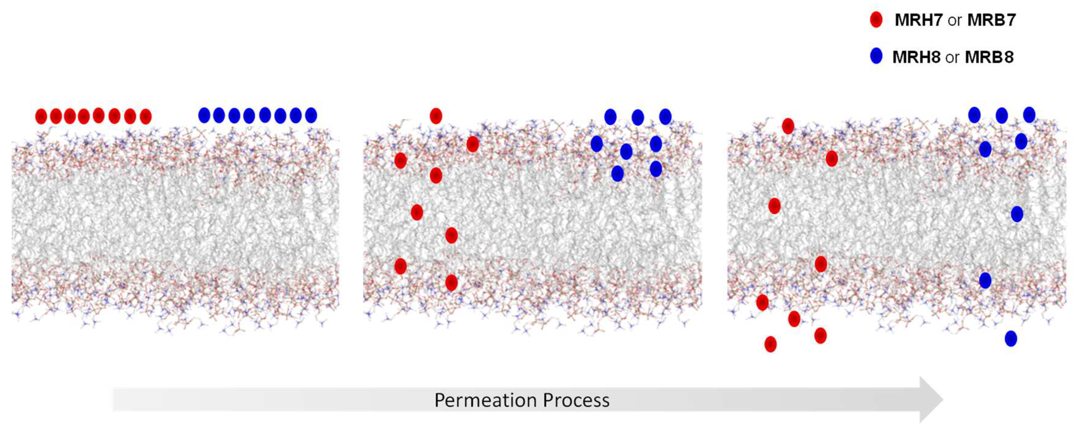 Pharmaceuticals 11 00110 g007