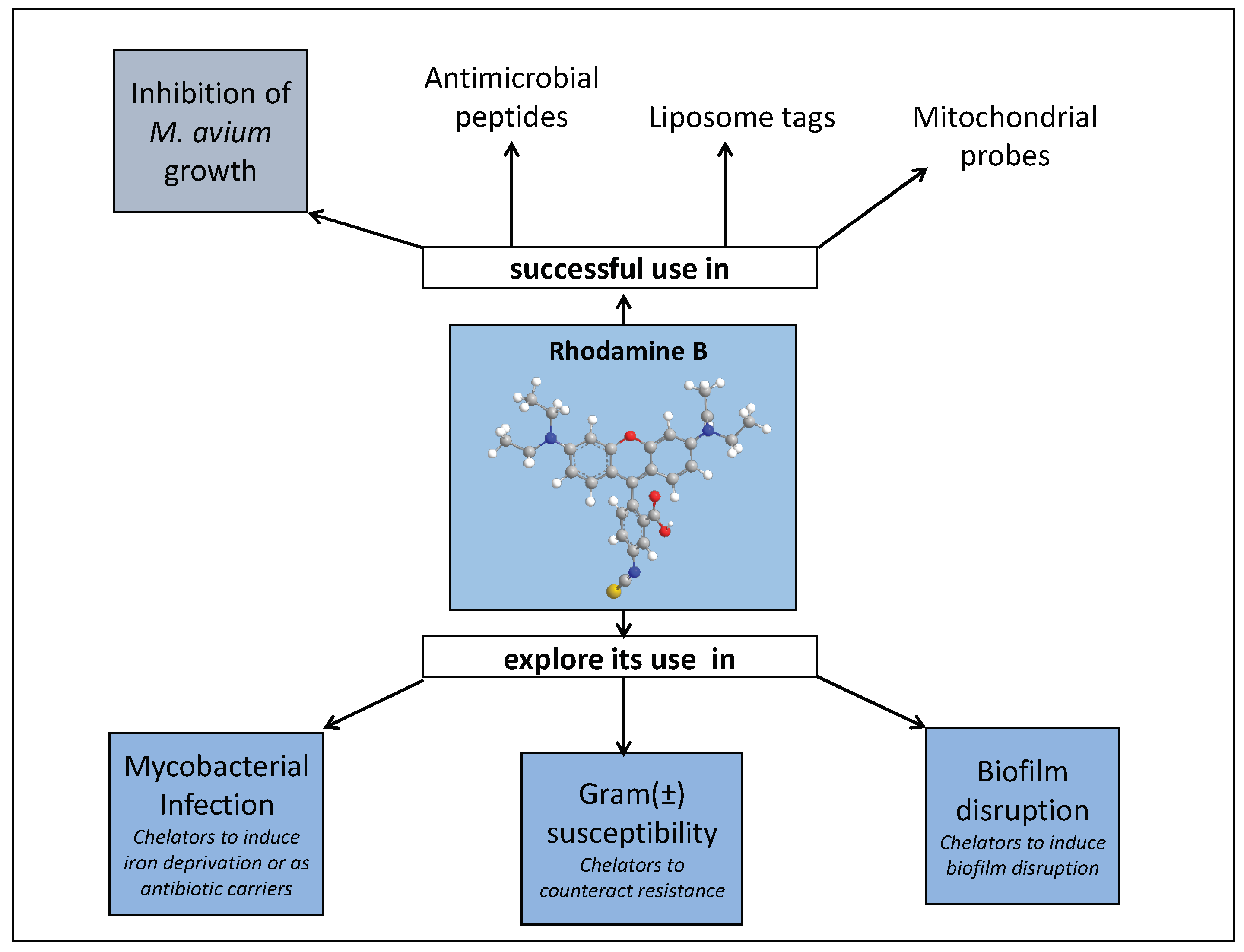 Pharmaceuticals 11 00110 g010