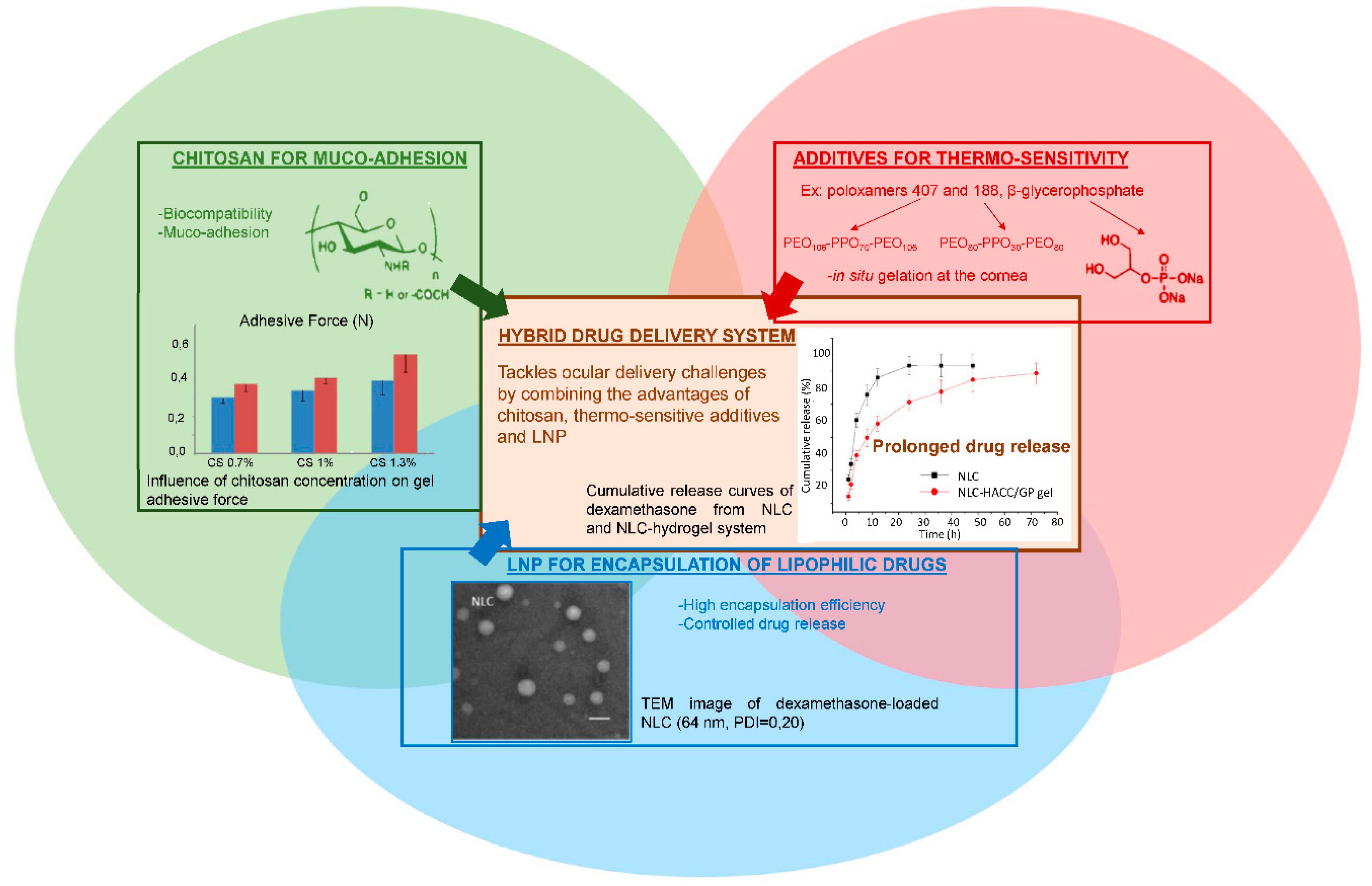 Pharmaceuticals 11 00118 g008 Pharmaceuticals 11 00118 g008