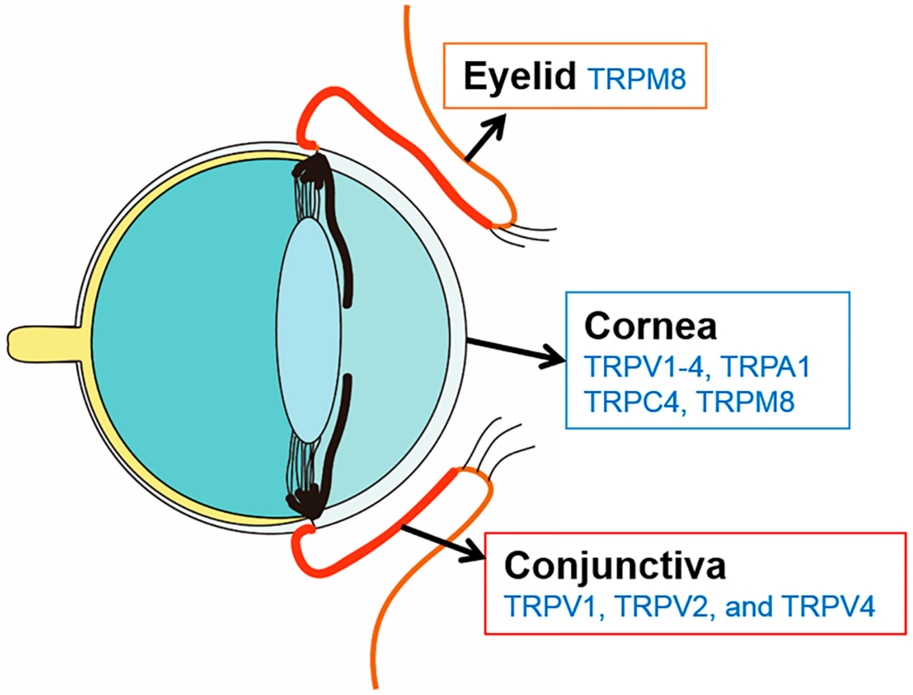 Pharmaceuticals 11 00125 g001