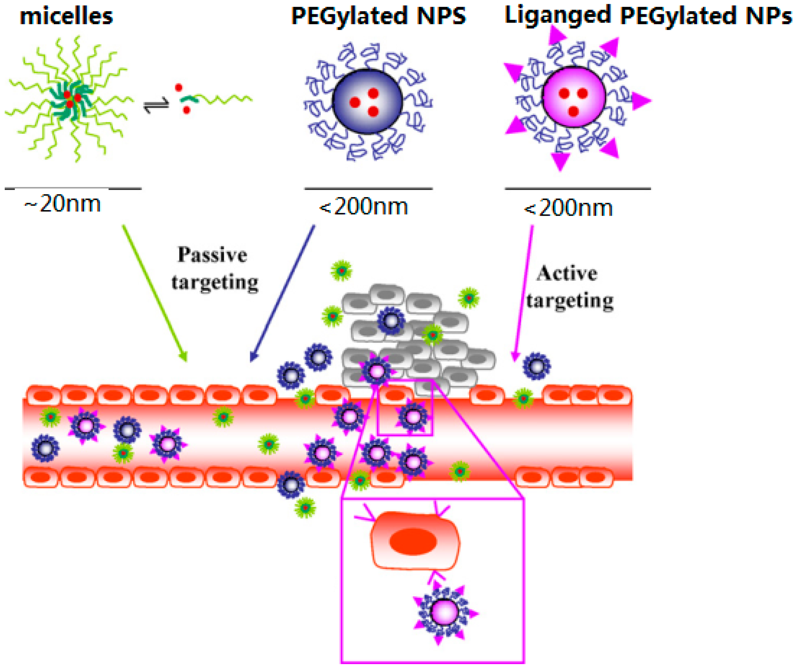 Pharmaceuticals 11 00133 g001