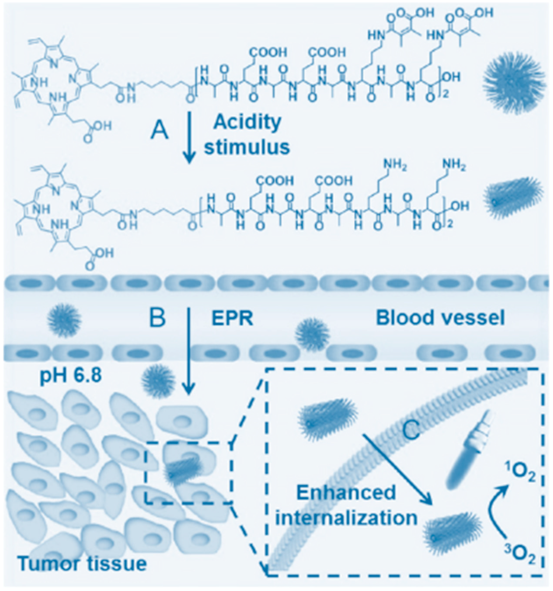 Pharmaceuticals 11 00133 g002