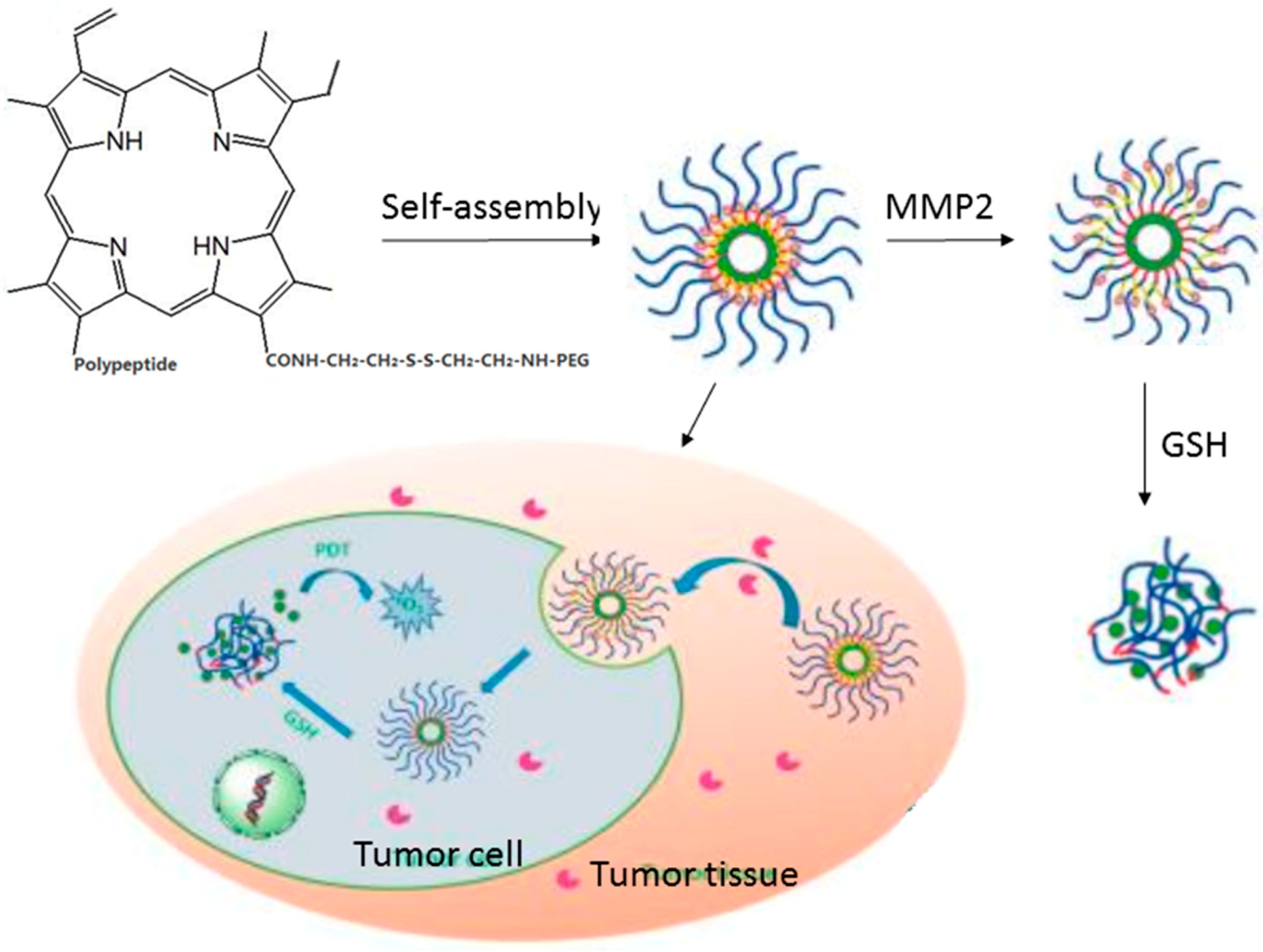 Pharmaceuticals 11 00133 g003