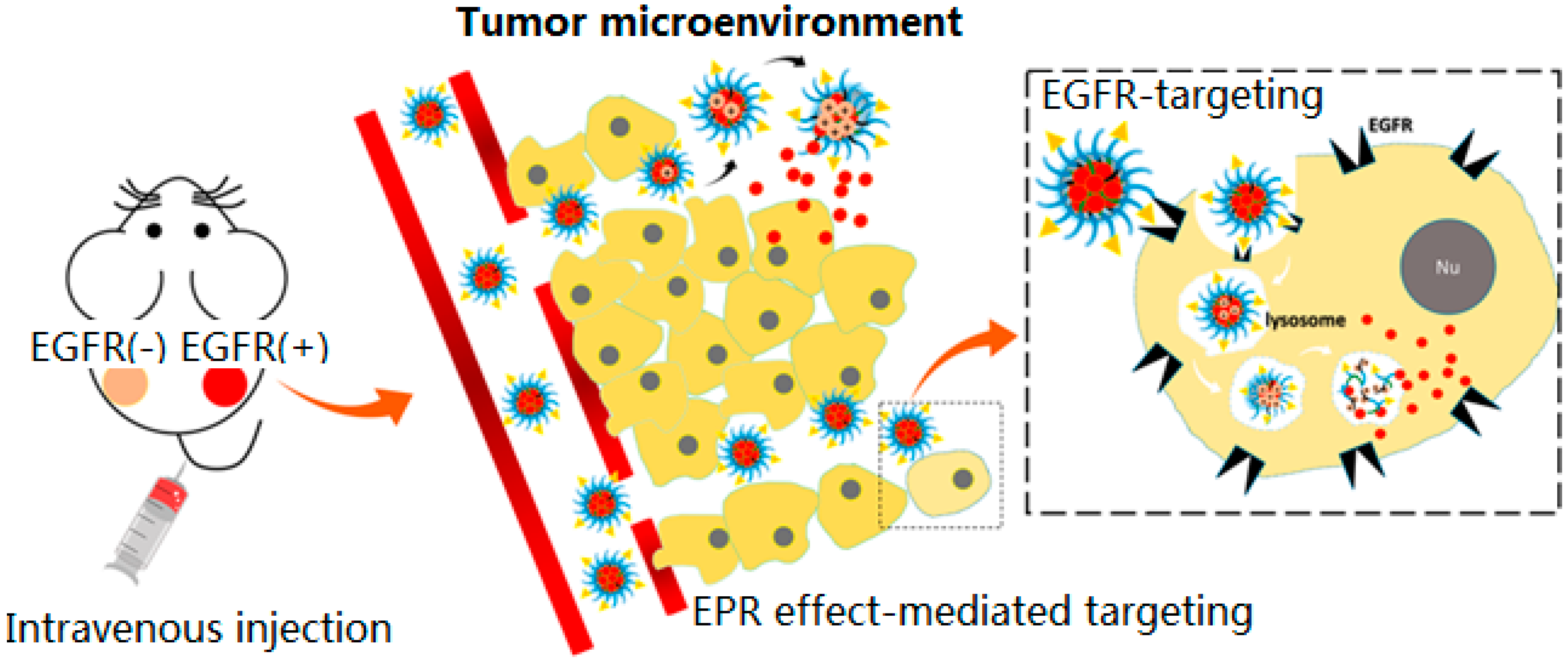 Pharmaceuticals 11 00133 g004