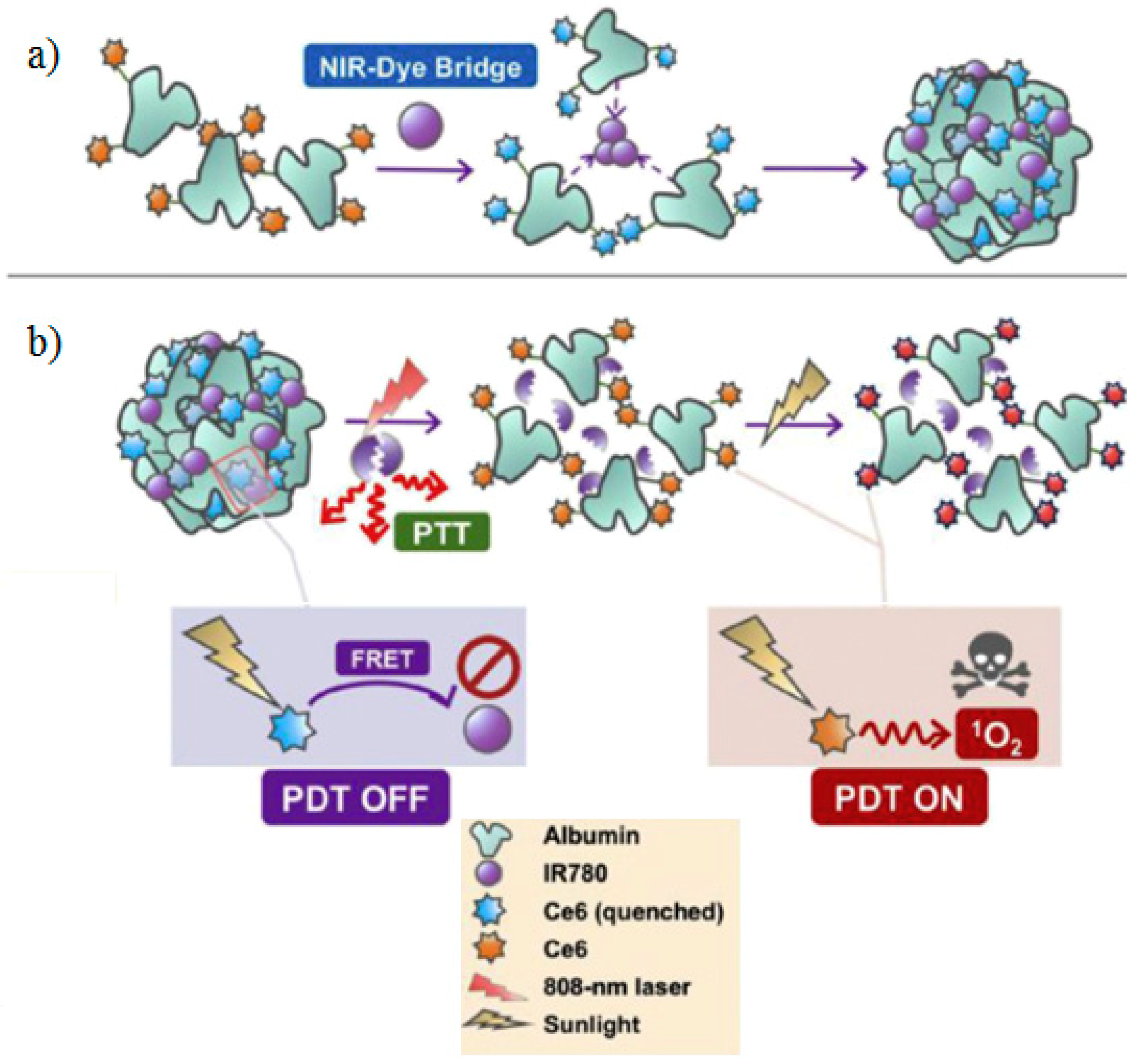 Pharmaceuticals 11 00133 g006