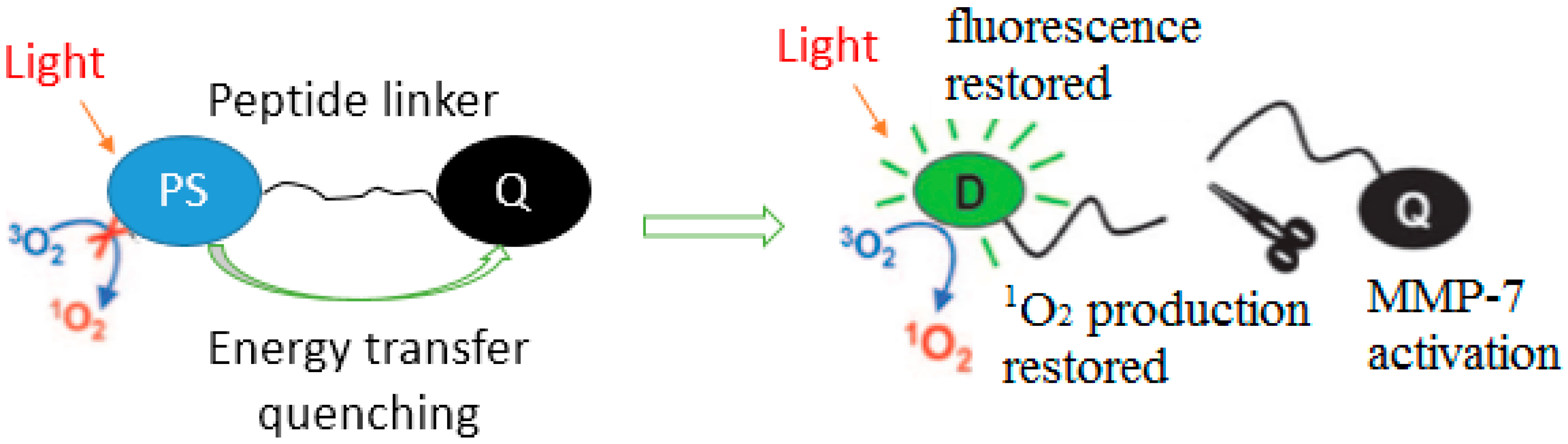 Pharmaceuticals 11 00133 g007