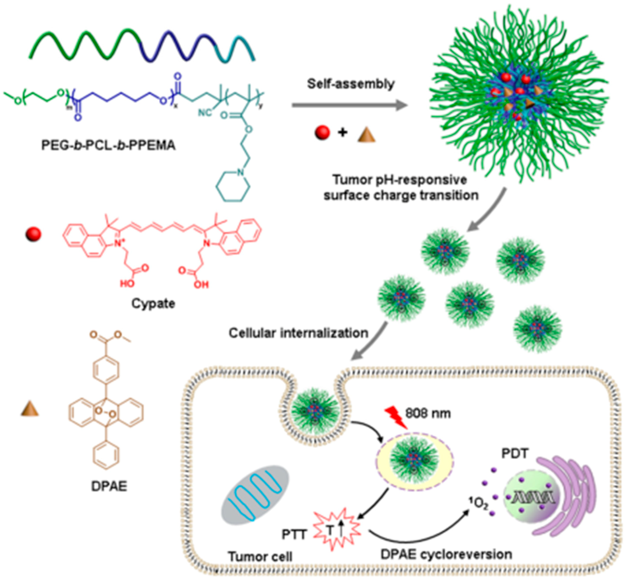 Pharmaceuticals 11 00133 g008