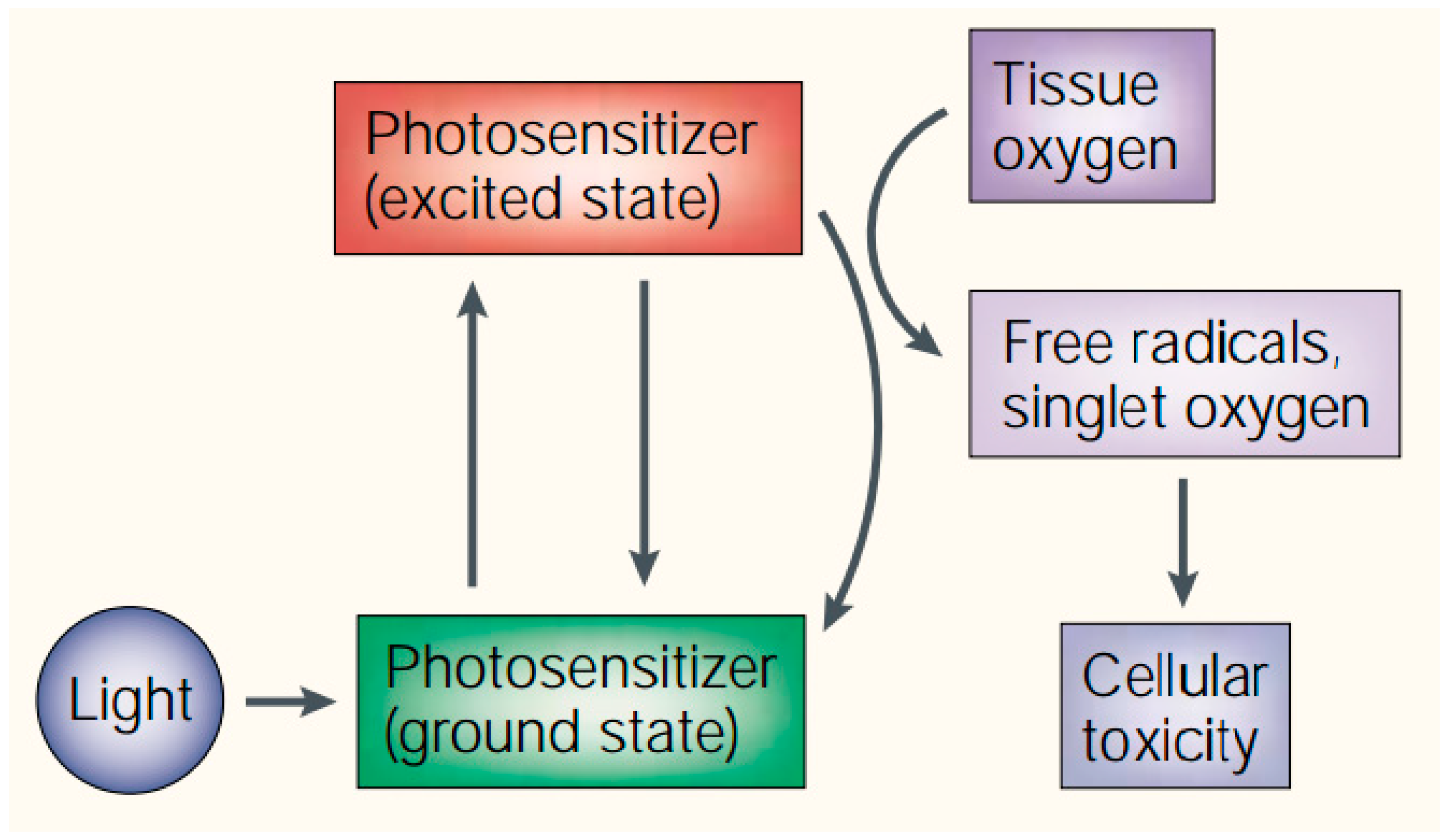 Pharmaceuticals 11 00133 sch001