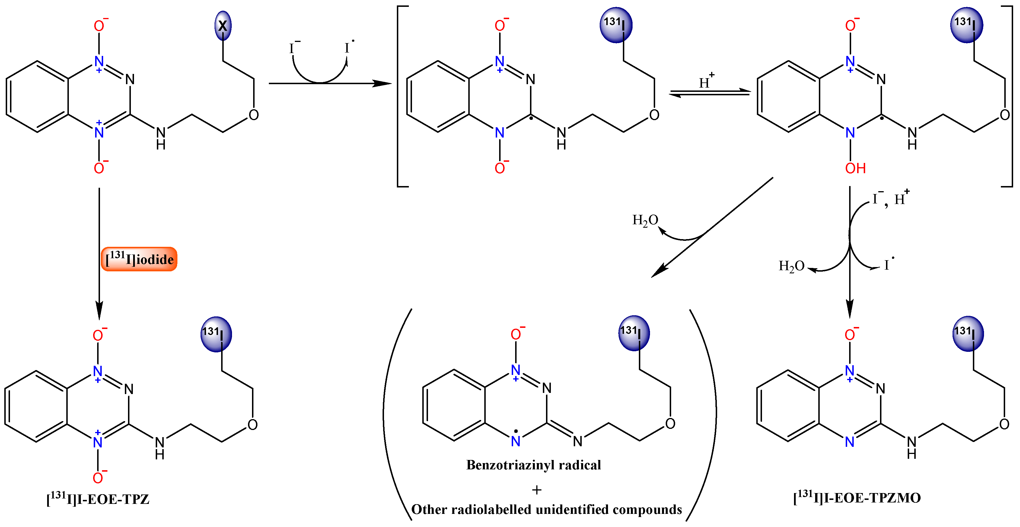 Pharmaceuticals 12 00003 sch001