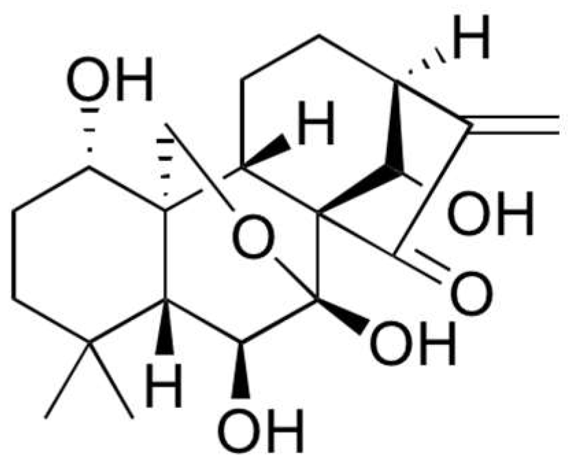 Pharmaceuticals 12 00004 g011 Pharmaceuticals 12 00004 g011