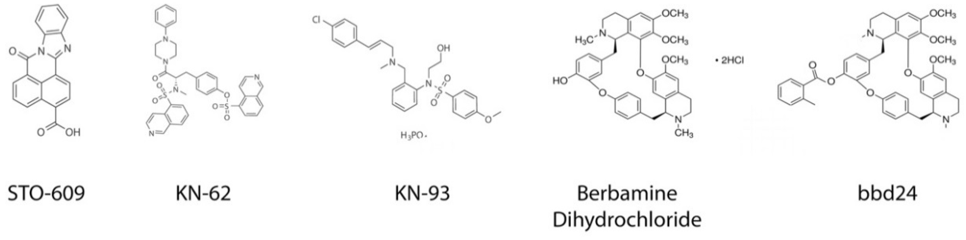 Pharmaceuticals 12 00008 g005
