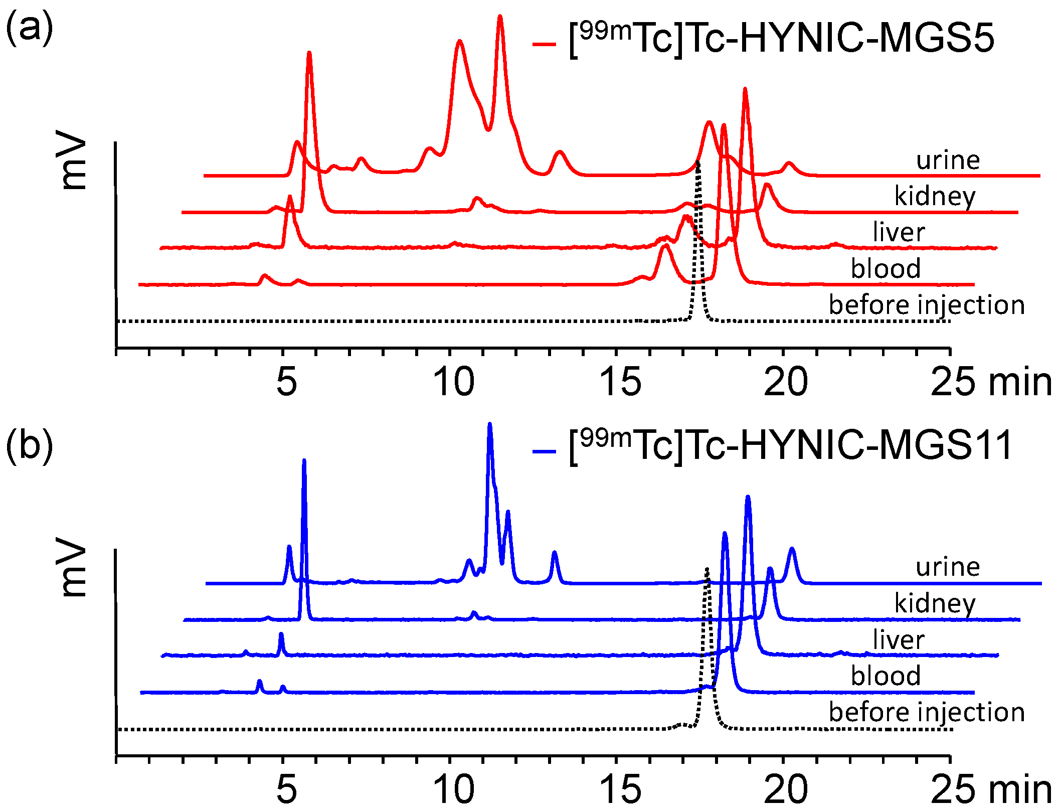 Pharmaceuticals 12 00013 g006