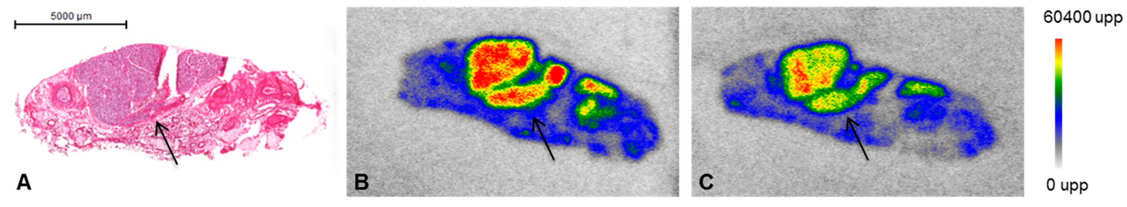 Pharmaceuticals 12 00018 g001