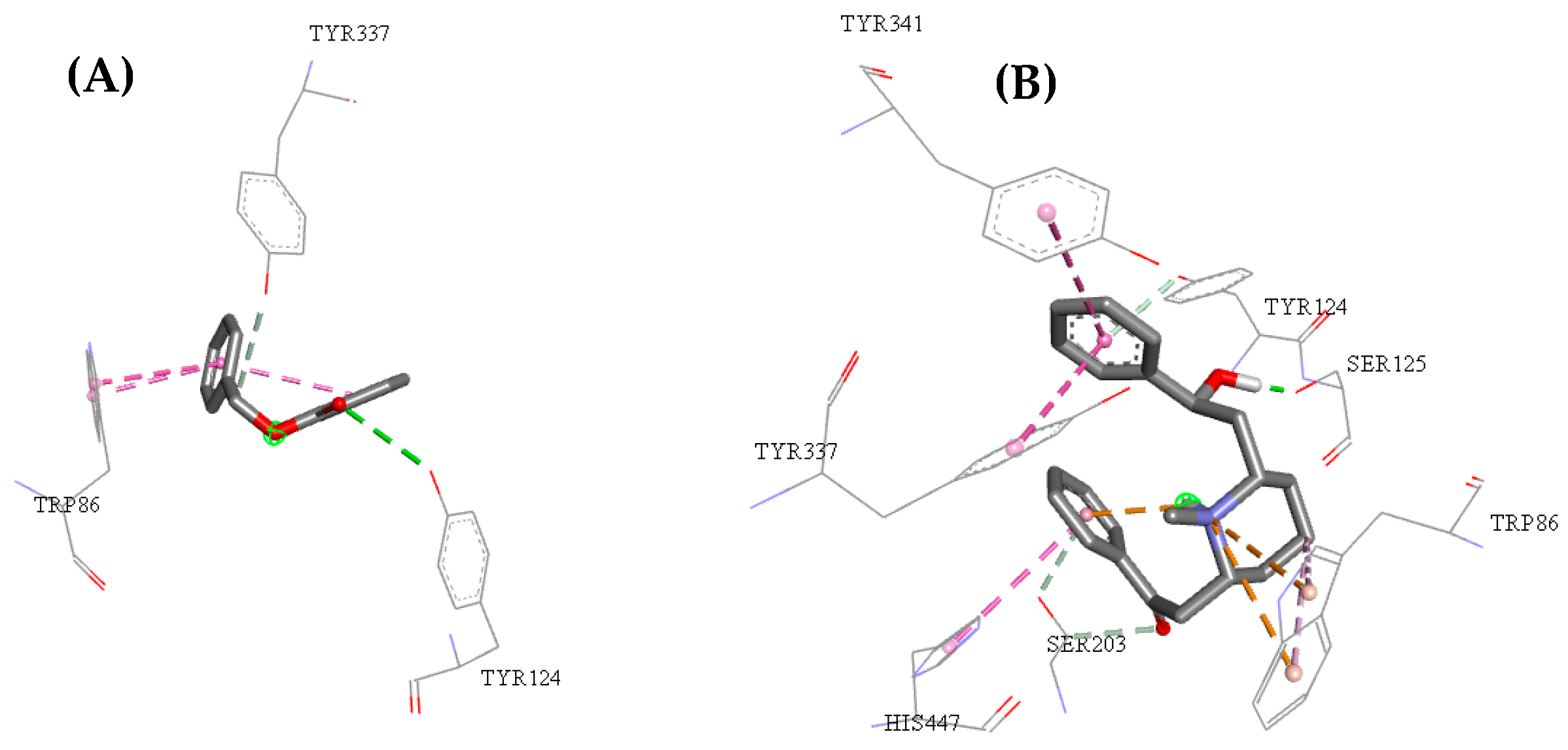 Pharmaceuticals 12 00020 g008