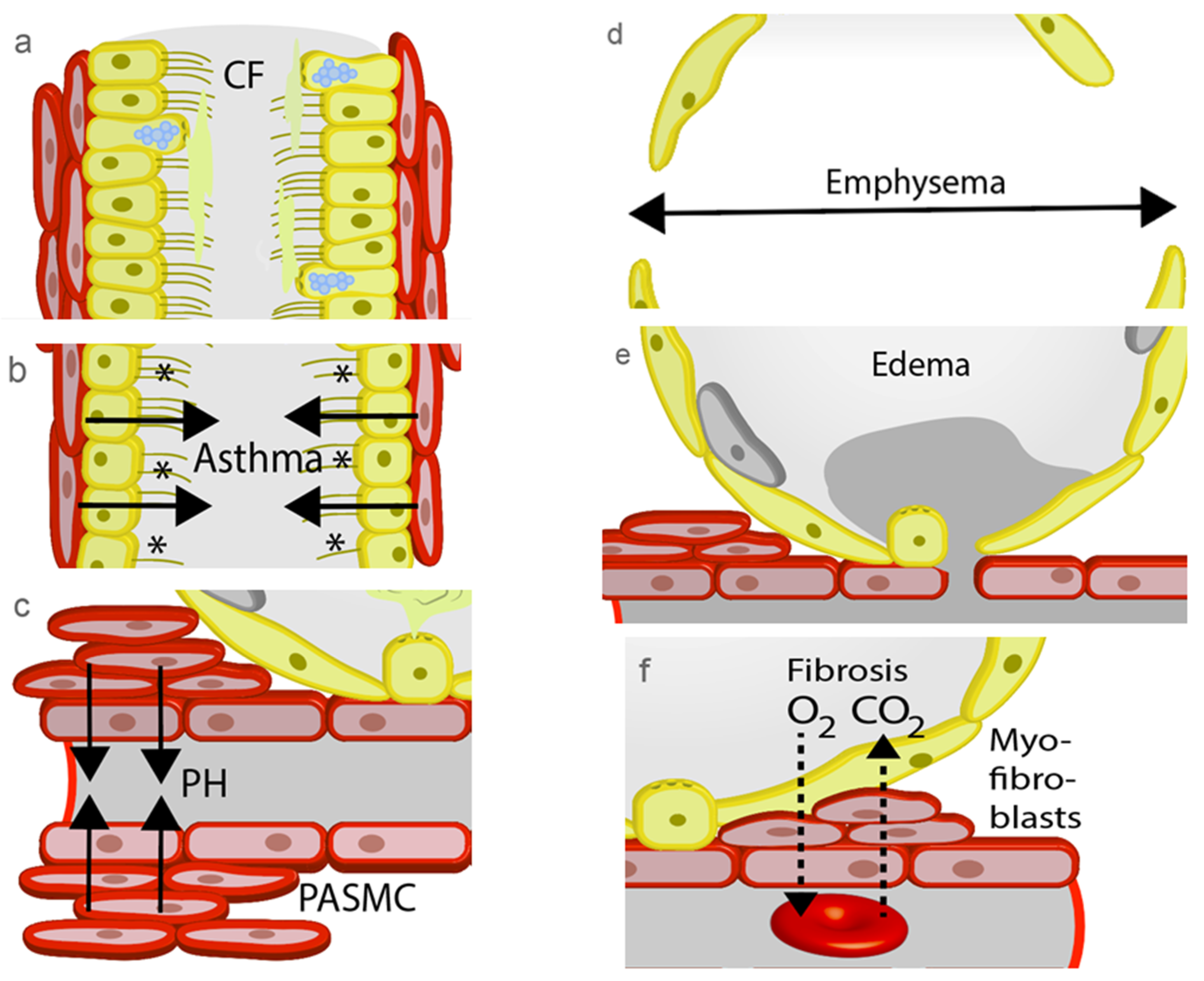 Pharmaceuticals 12 00023 g002
