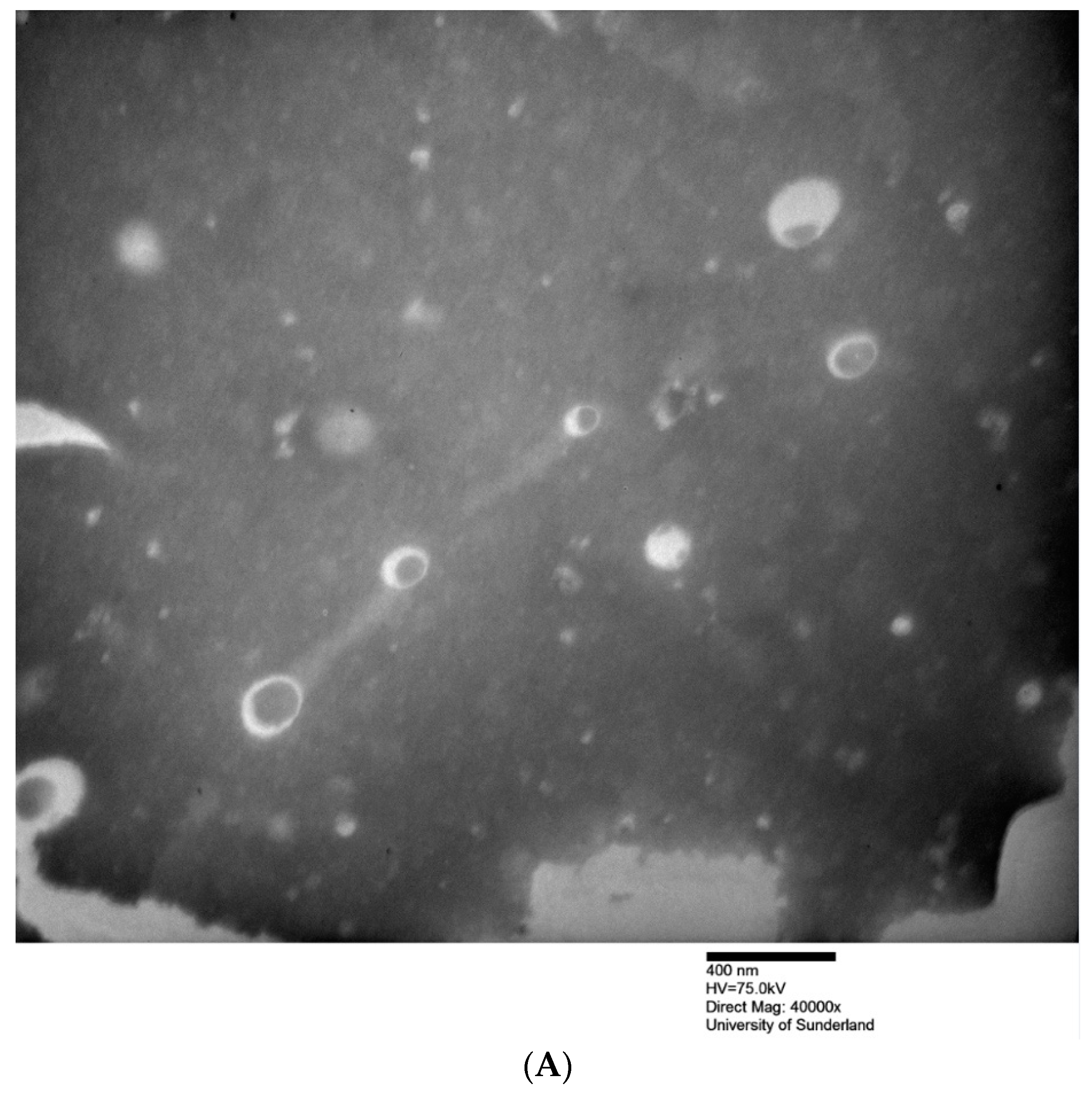 Pharmaceuticals 12 00046 g001a