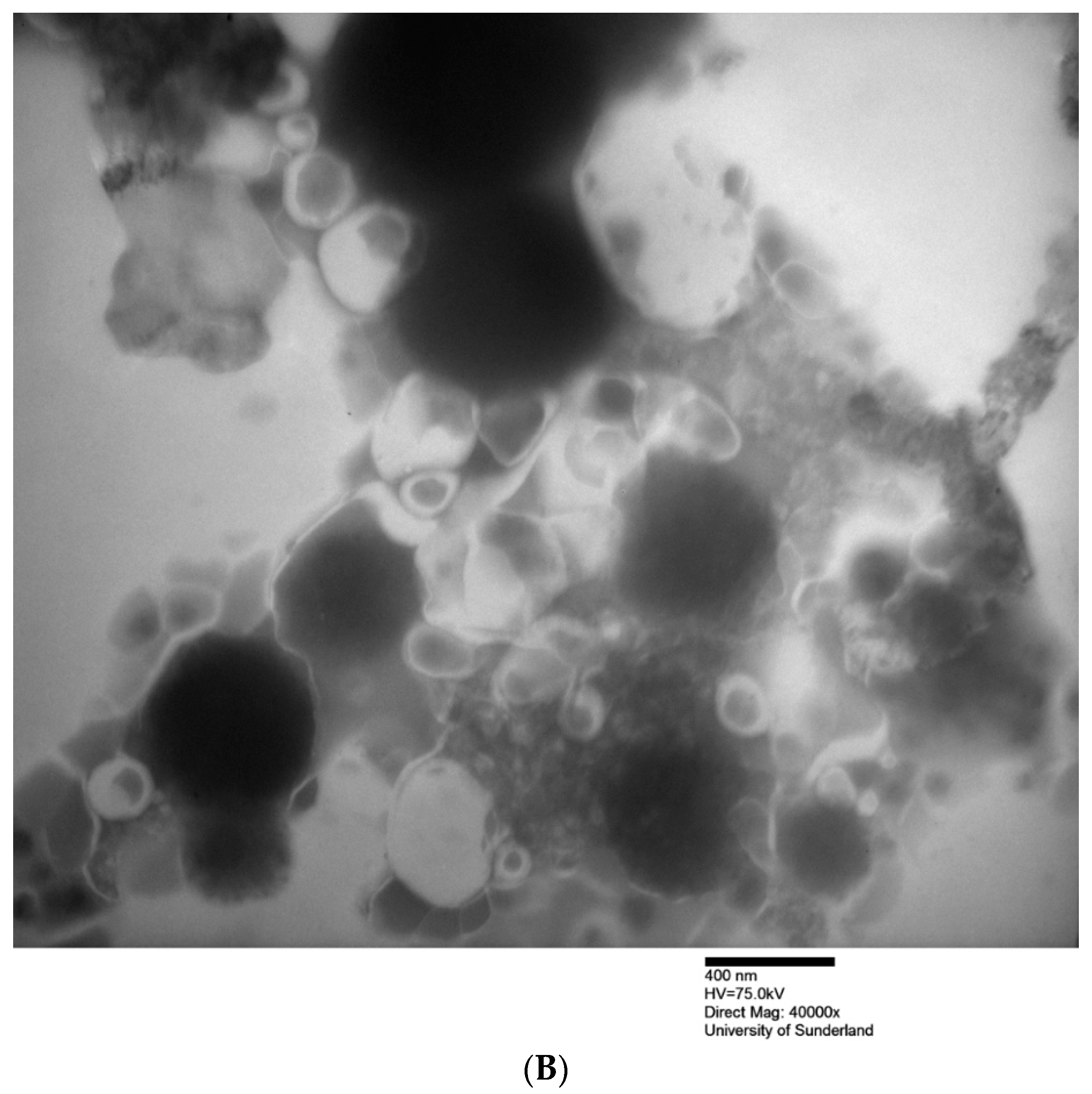 Pharmaceuticals 12 00046 g001b