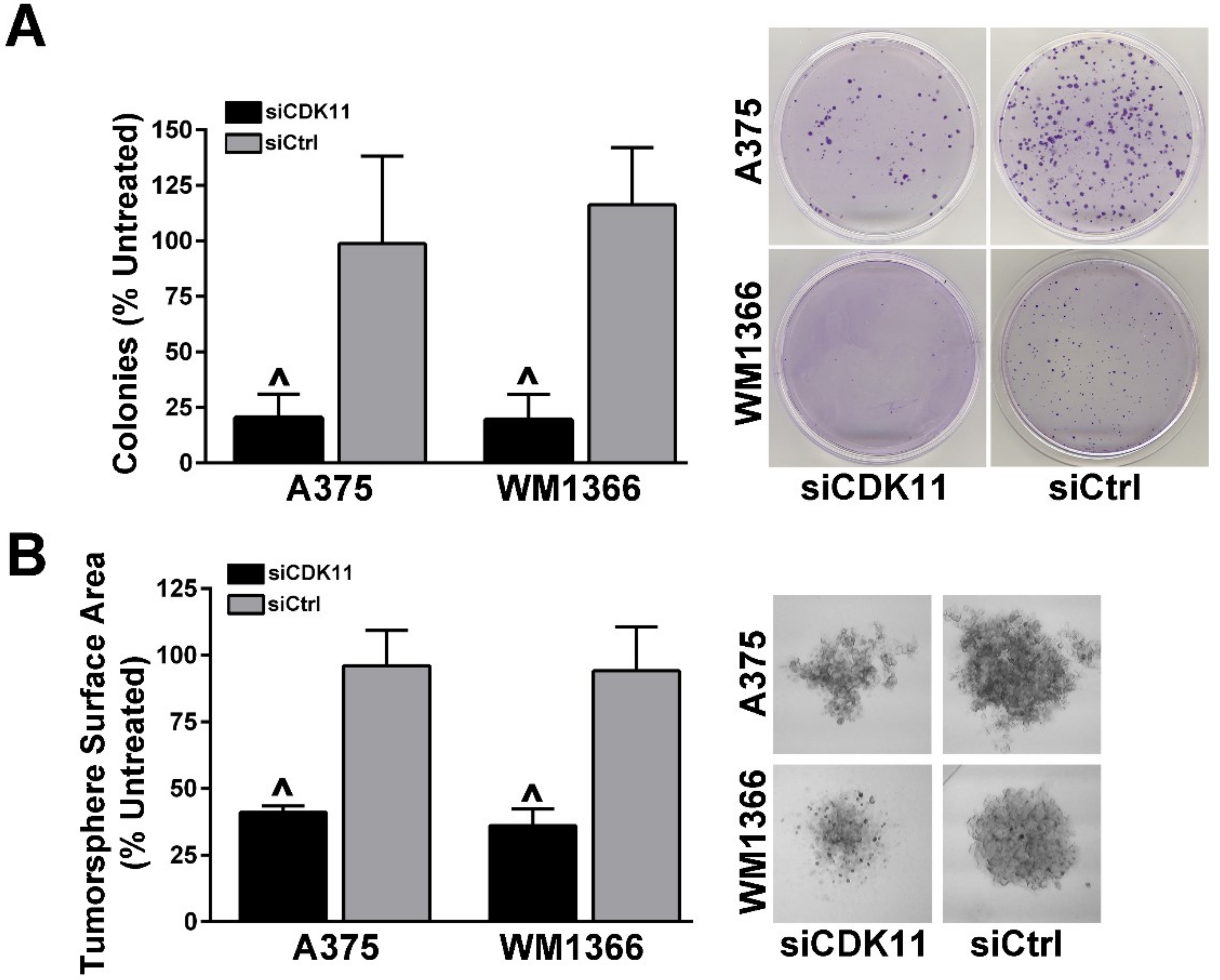 Pharmaceuticals 12 00050 g003