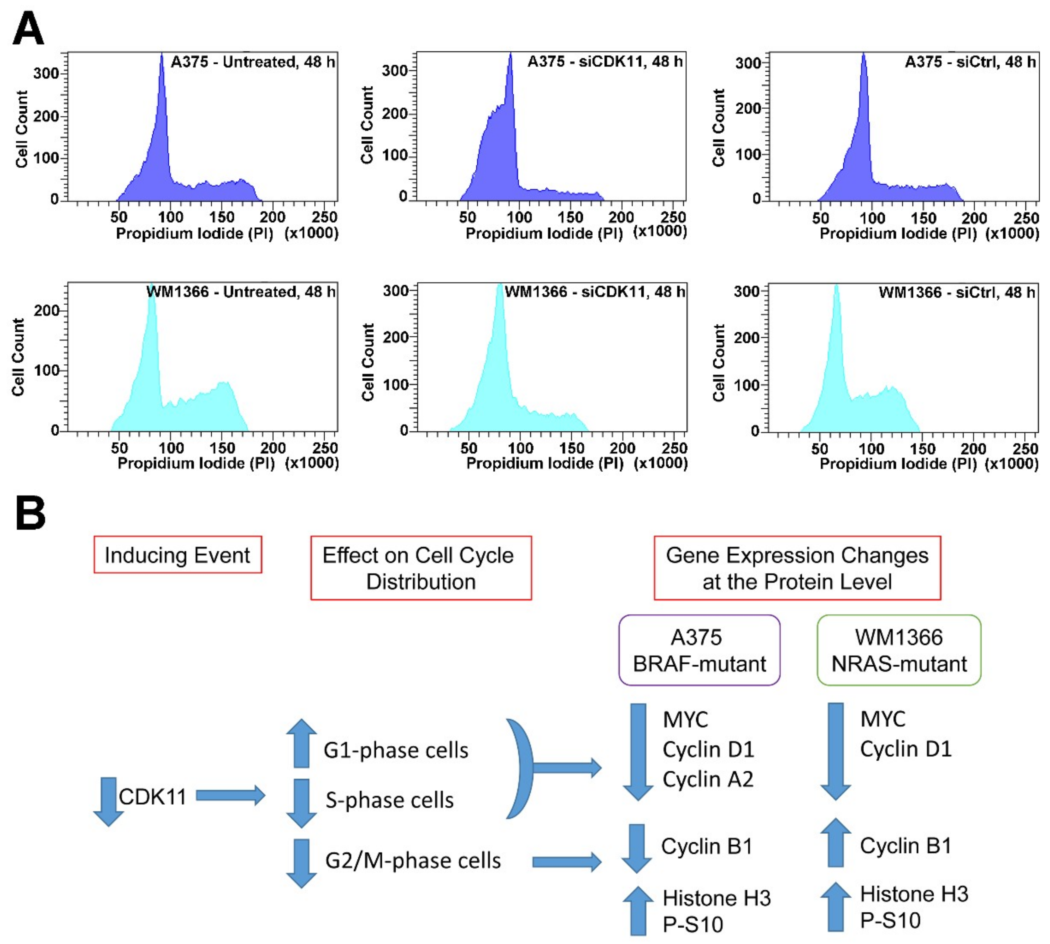 Pharmaceuticals 12 00050 g006