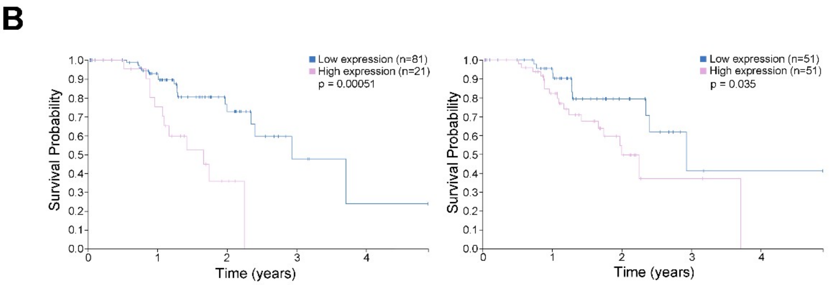 Pharmaceuticals 12 00050 g007b