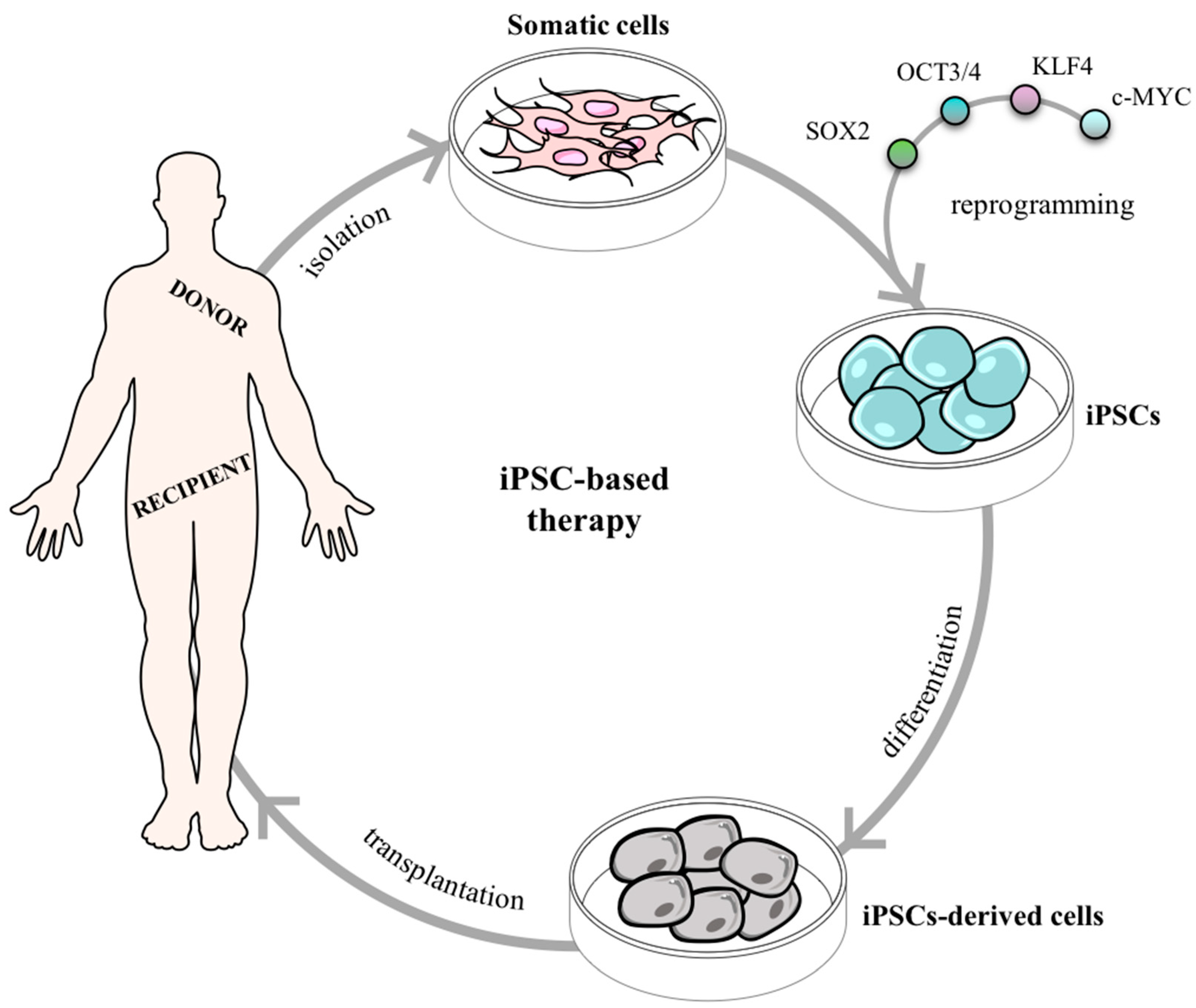 Pharmaceuticals 12 00065 g004