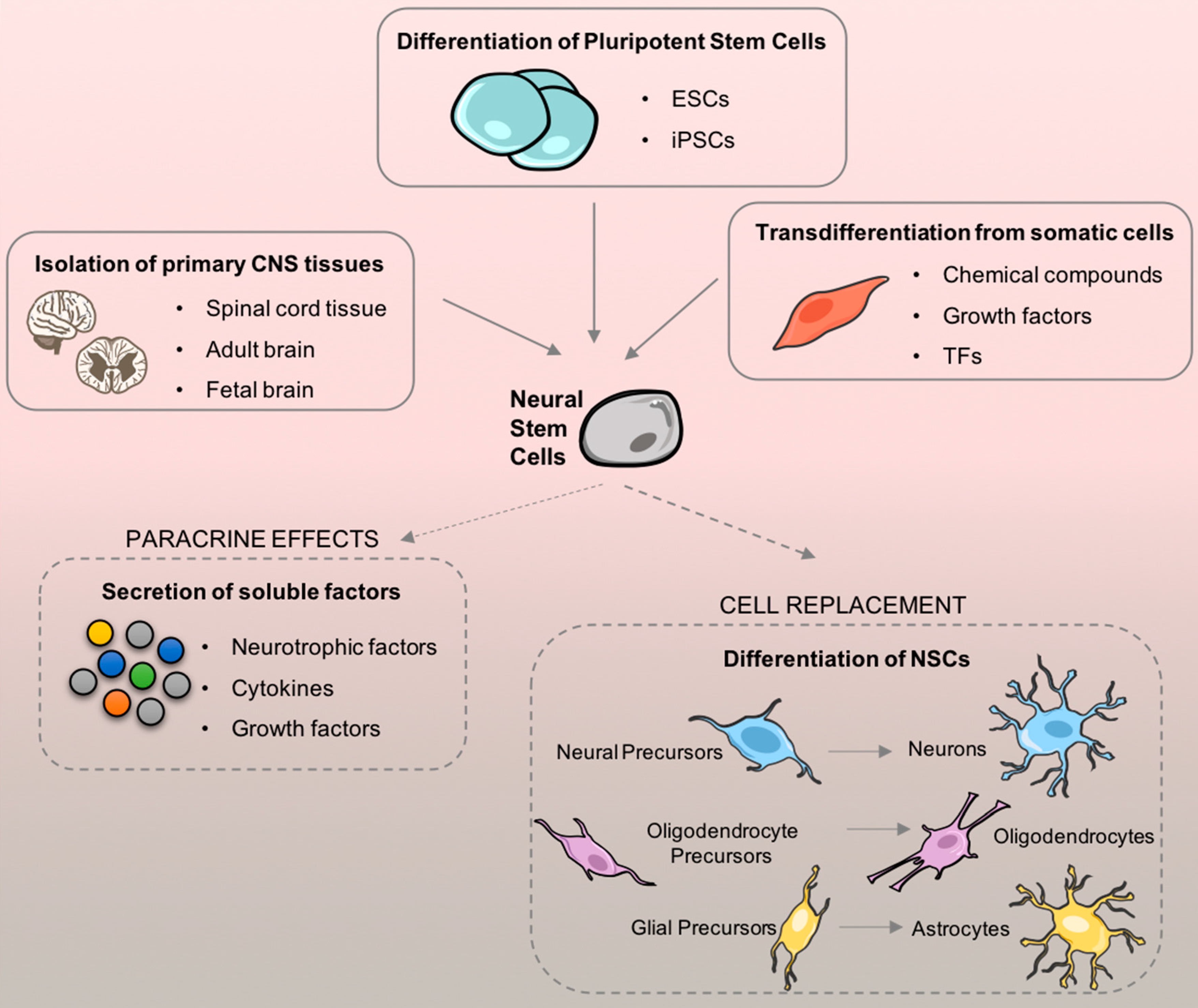 Pharmaceuticals 12 00065 g005