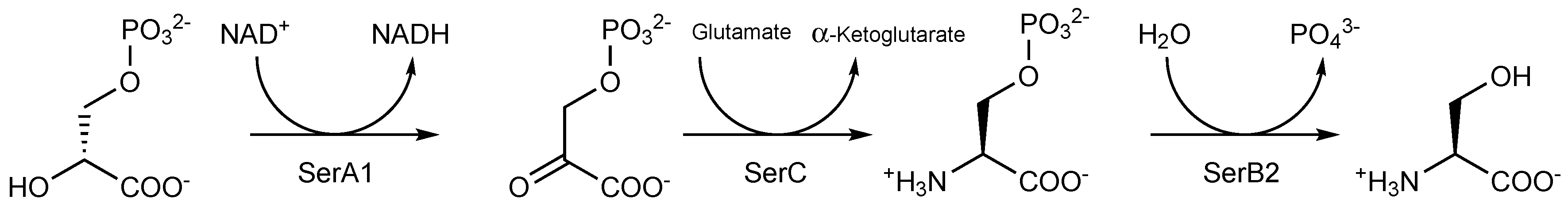 Pharmaceuticals 12 00066 g005 Pharmaceuticals 12 00066 g005