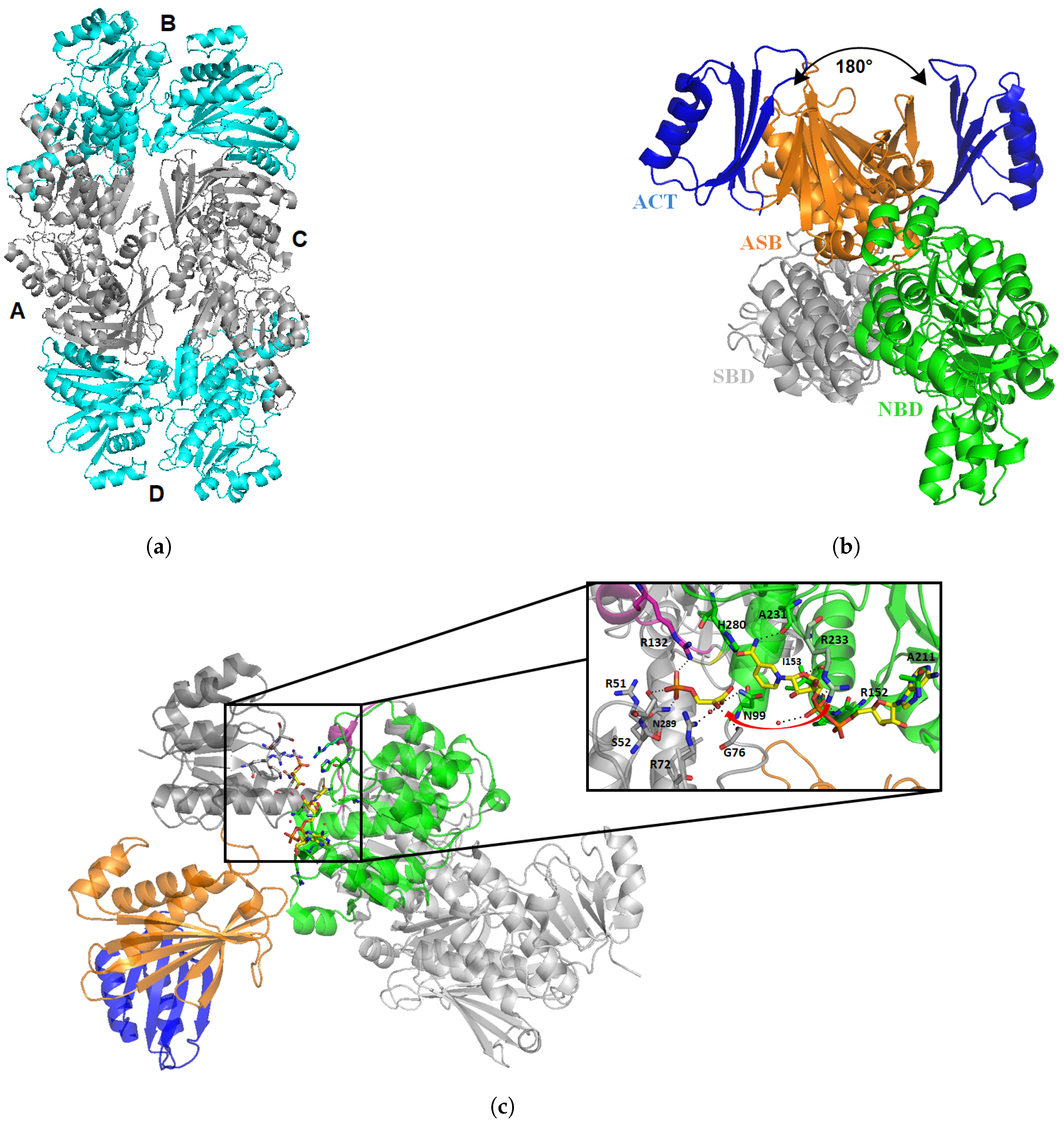 Pharmaceuticals 12 00066 g006 Pharmaceuticals 12 00066 g006