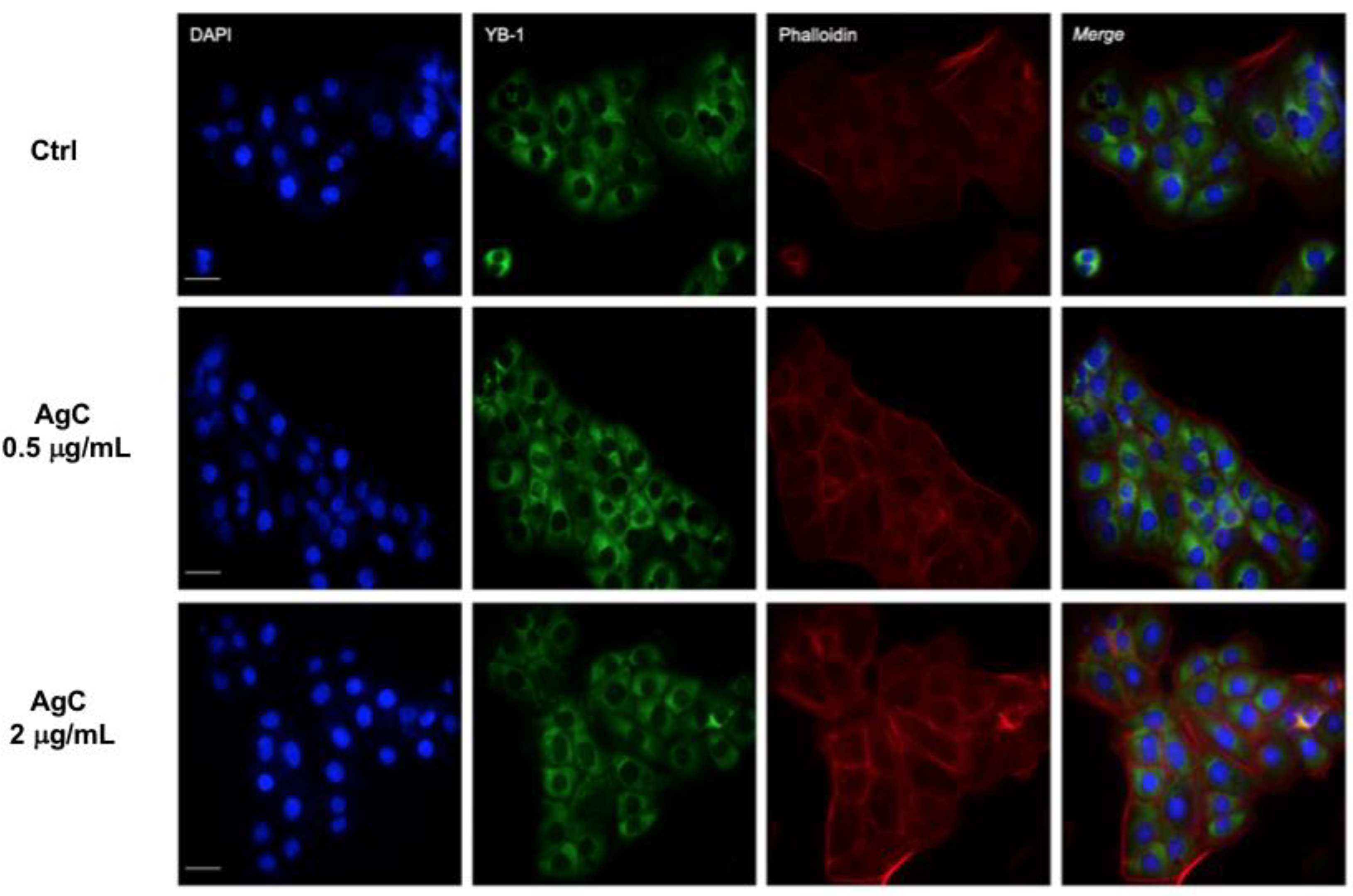 Pharmaceuticals 12 00072 g002 Pharmaceuticals 12 00072 g002