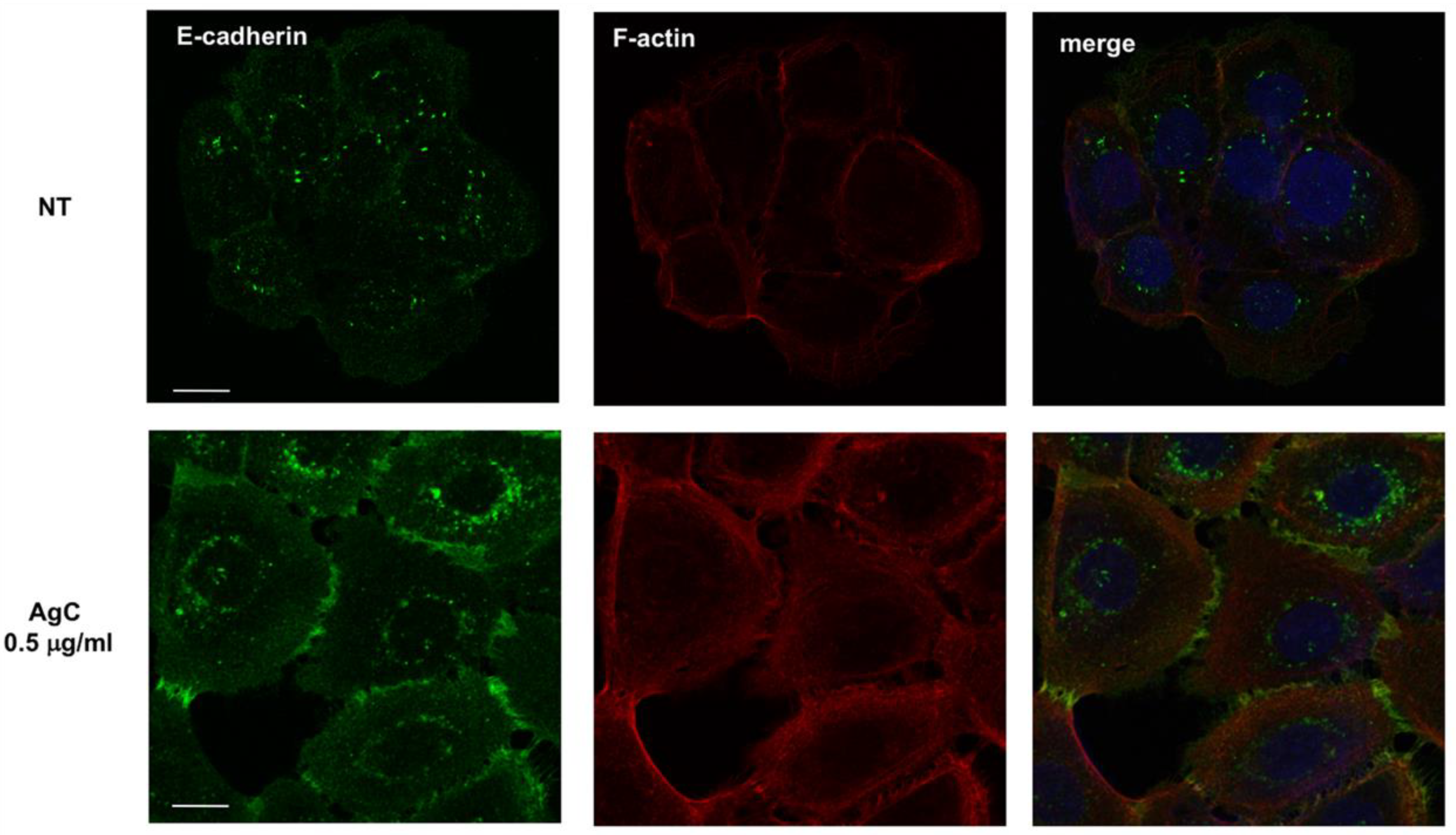 Pharmaceuticals 12 00072 g005 Pharmaceuticals 12 00072 g005
