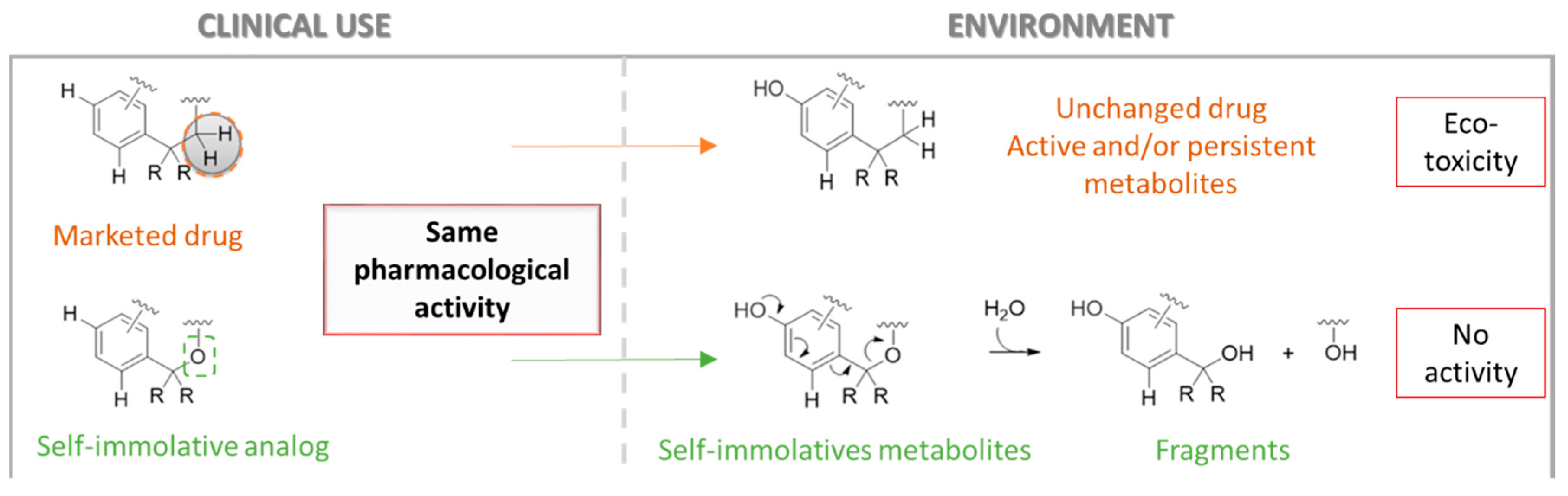 Pharmaceuticals 12 00073 i010