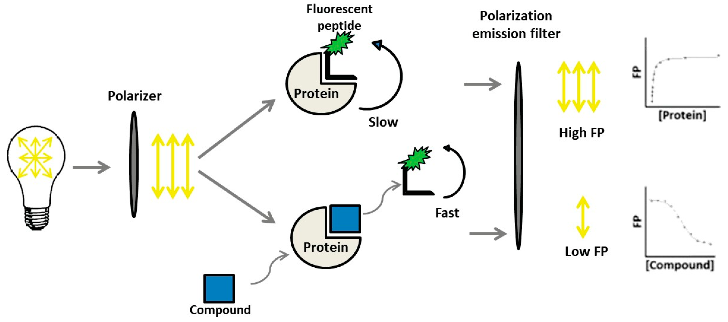 Pharmaceuticals 12 00073 i027