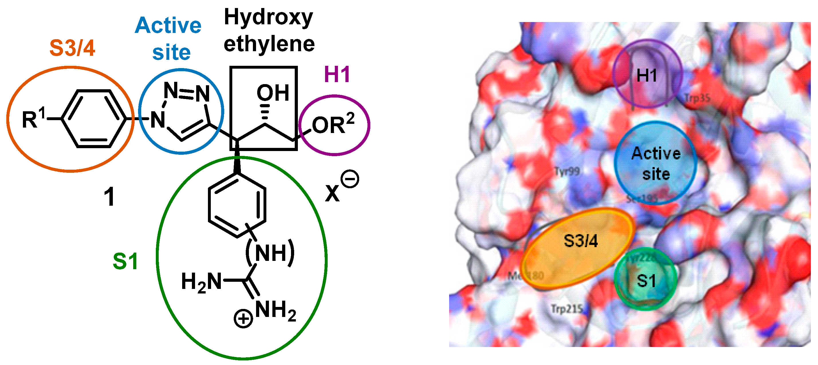 Pharmaceuticals 12 00073 i036