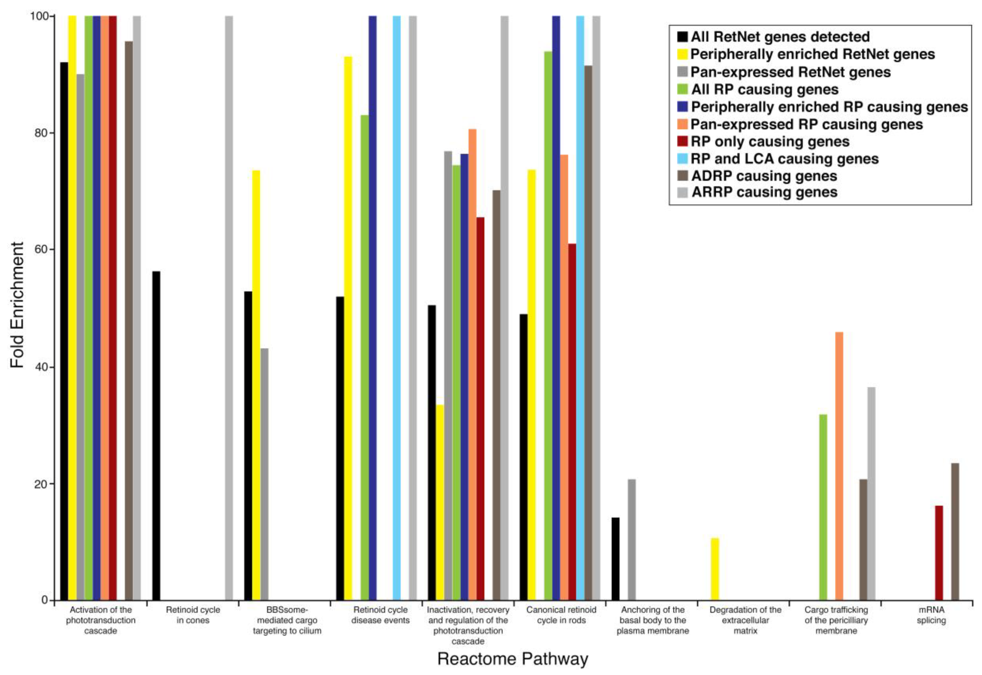 Pharmaceuticals 12 00074 g002