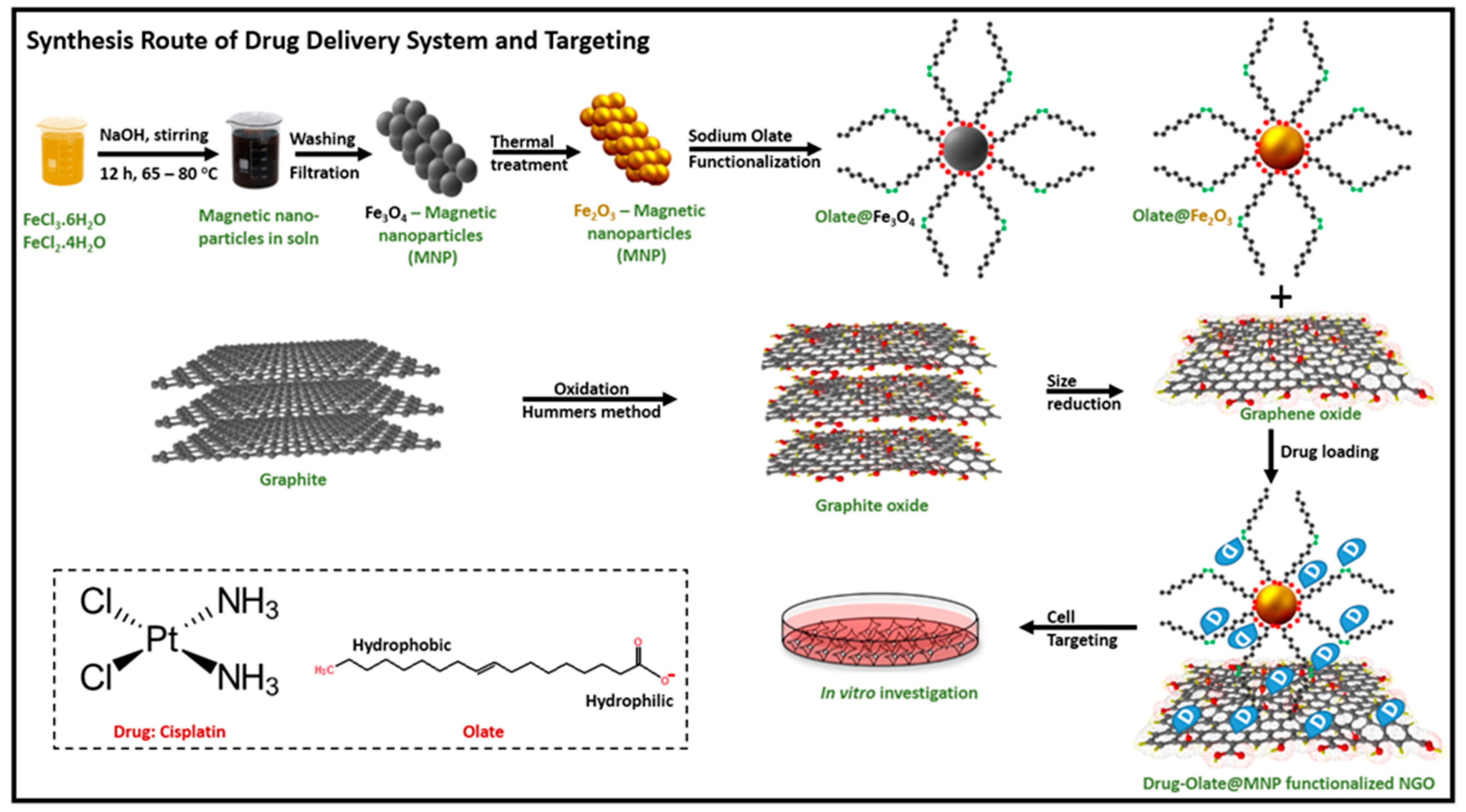 Pharmaceuticals 12 00076 g002