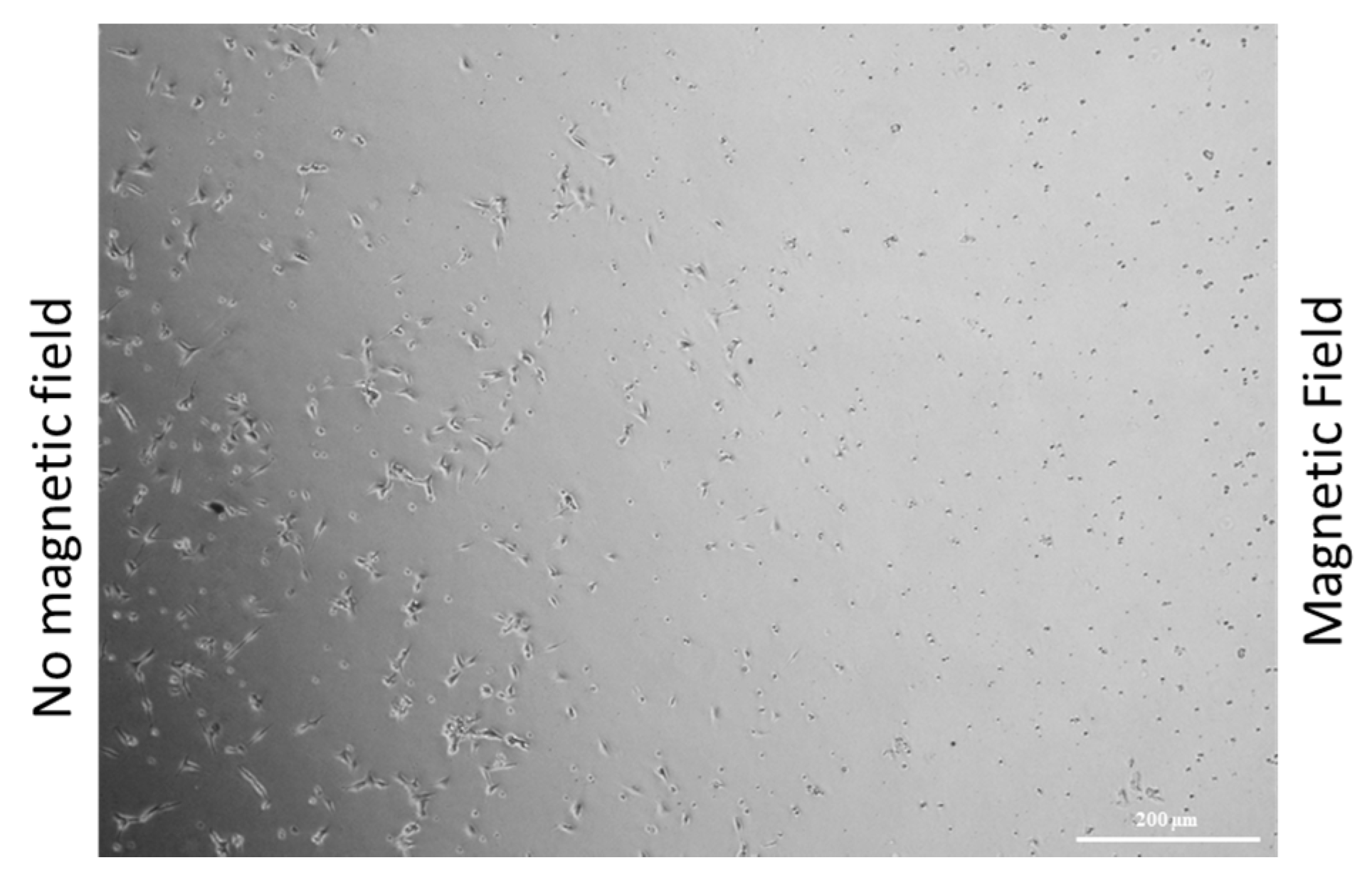 Pharmaceuticals 12 00076 g009