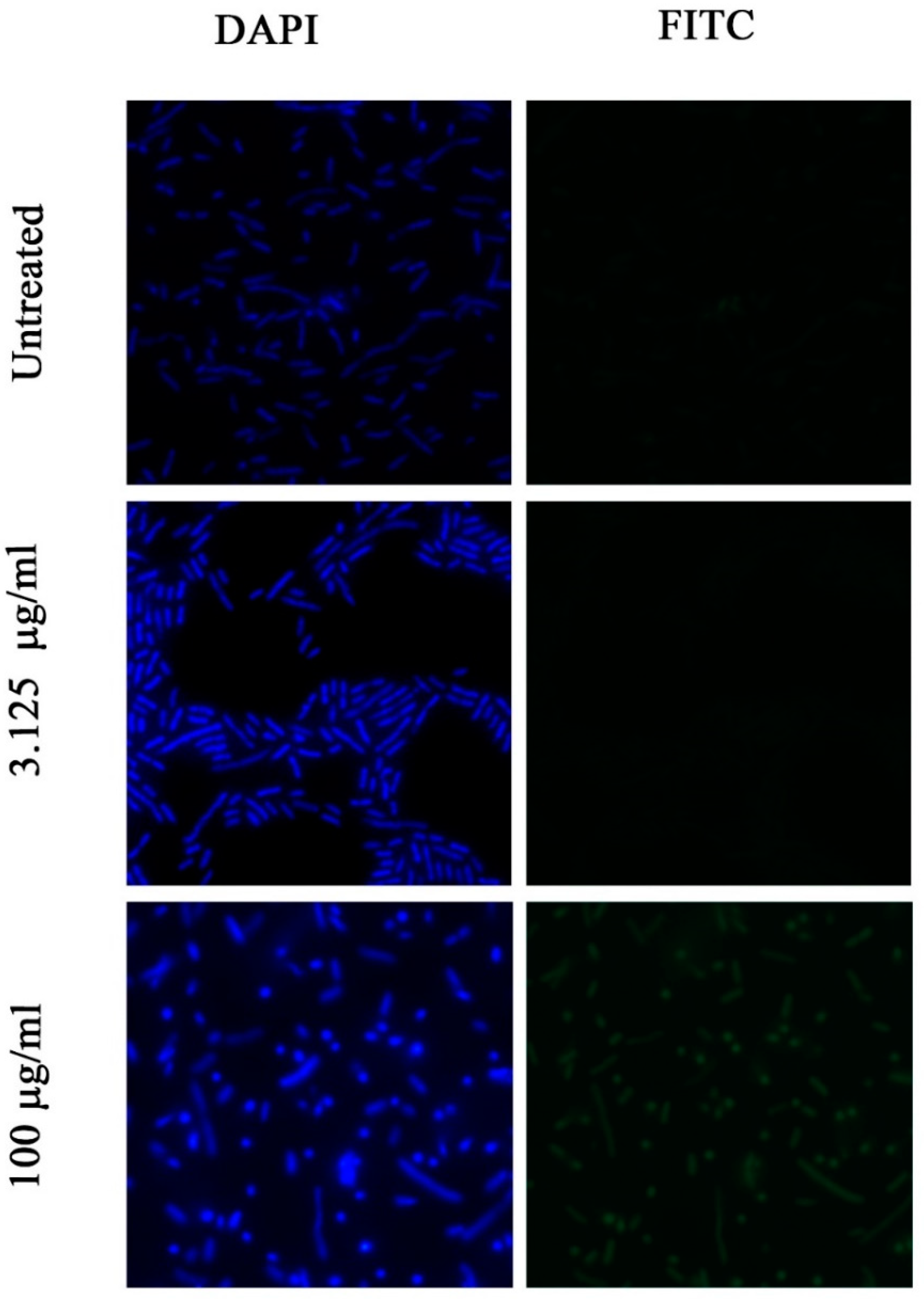 Pharmaceuticals 12 00082 g004