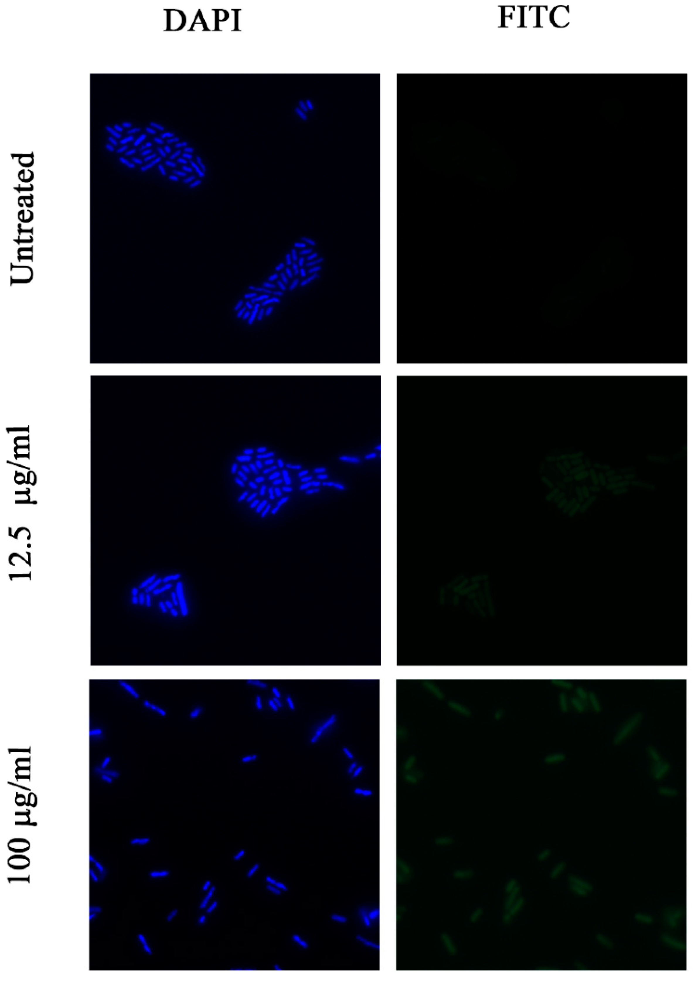 Pharmaceuticals 12 00082 g005