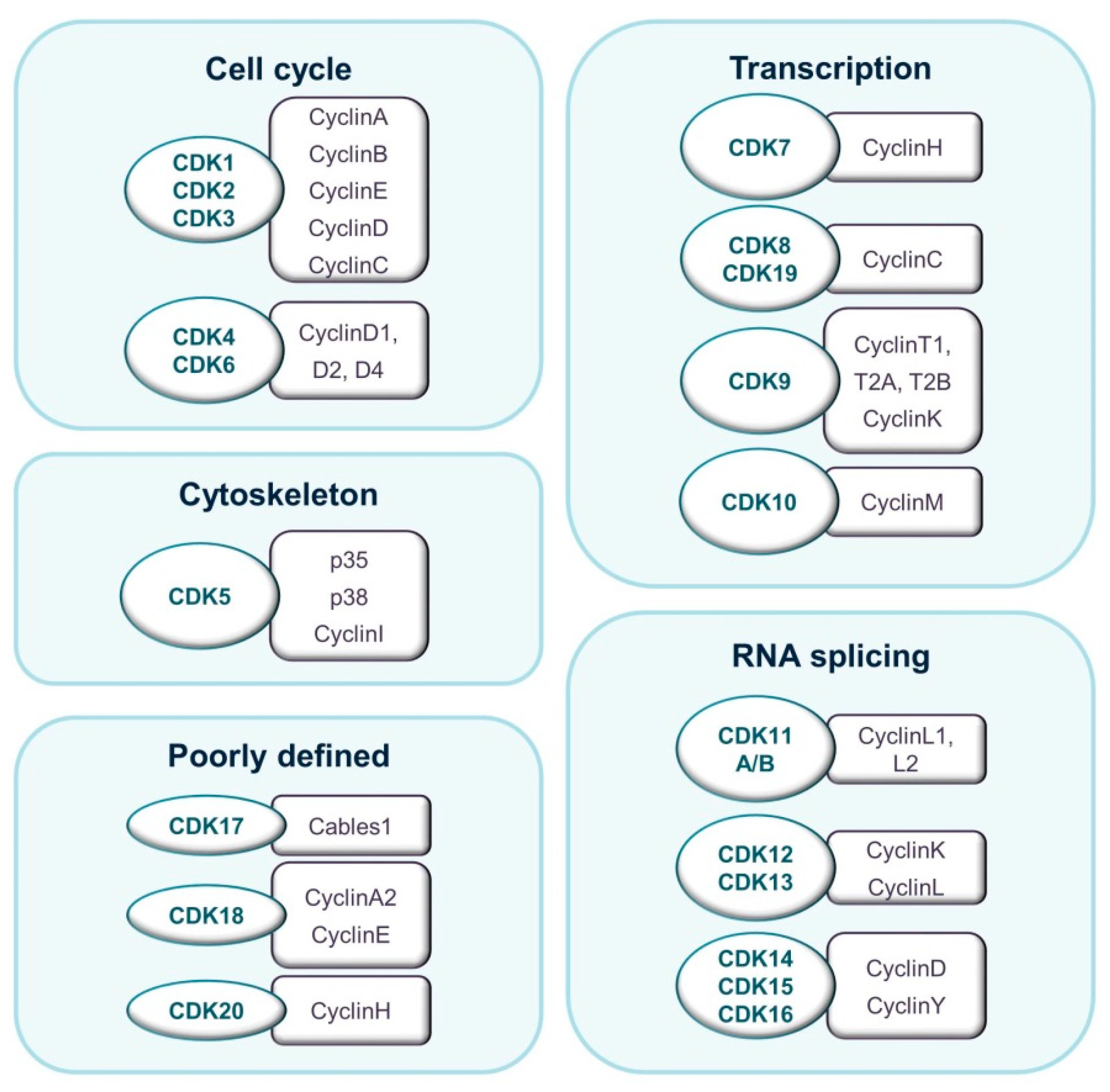 Pharmaceuticals 12 00092 g001